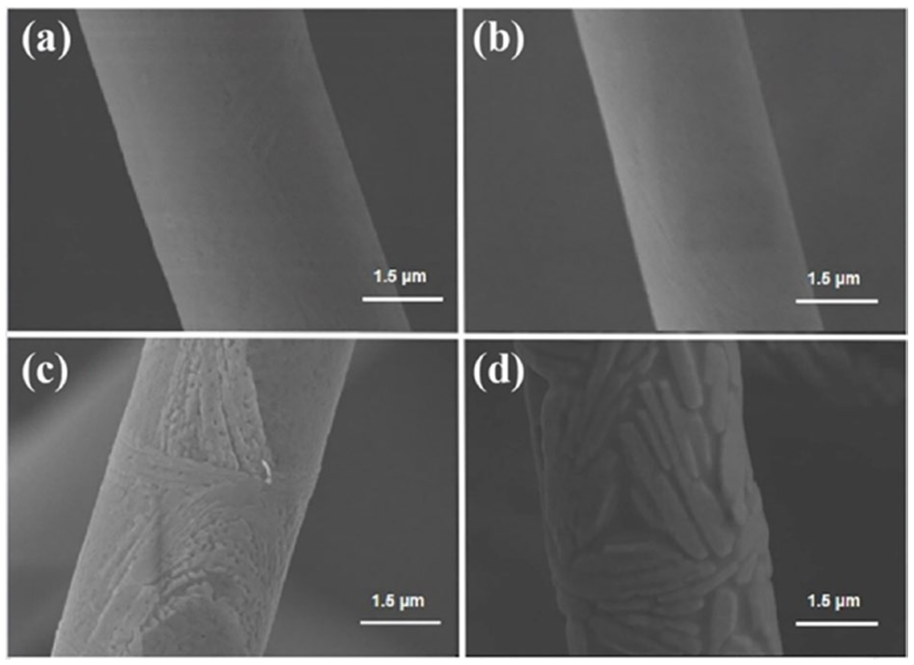 Materials 17 03235 g009