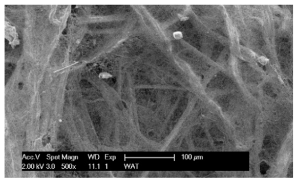 Materials 17 03249 i011