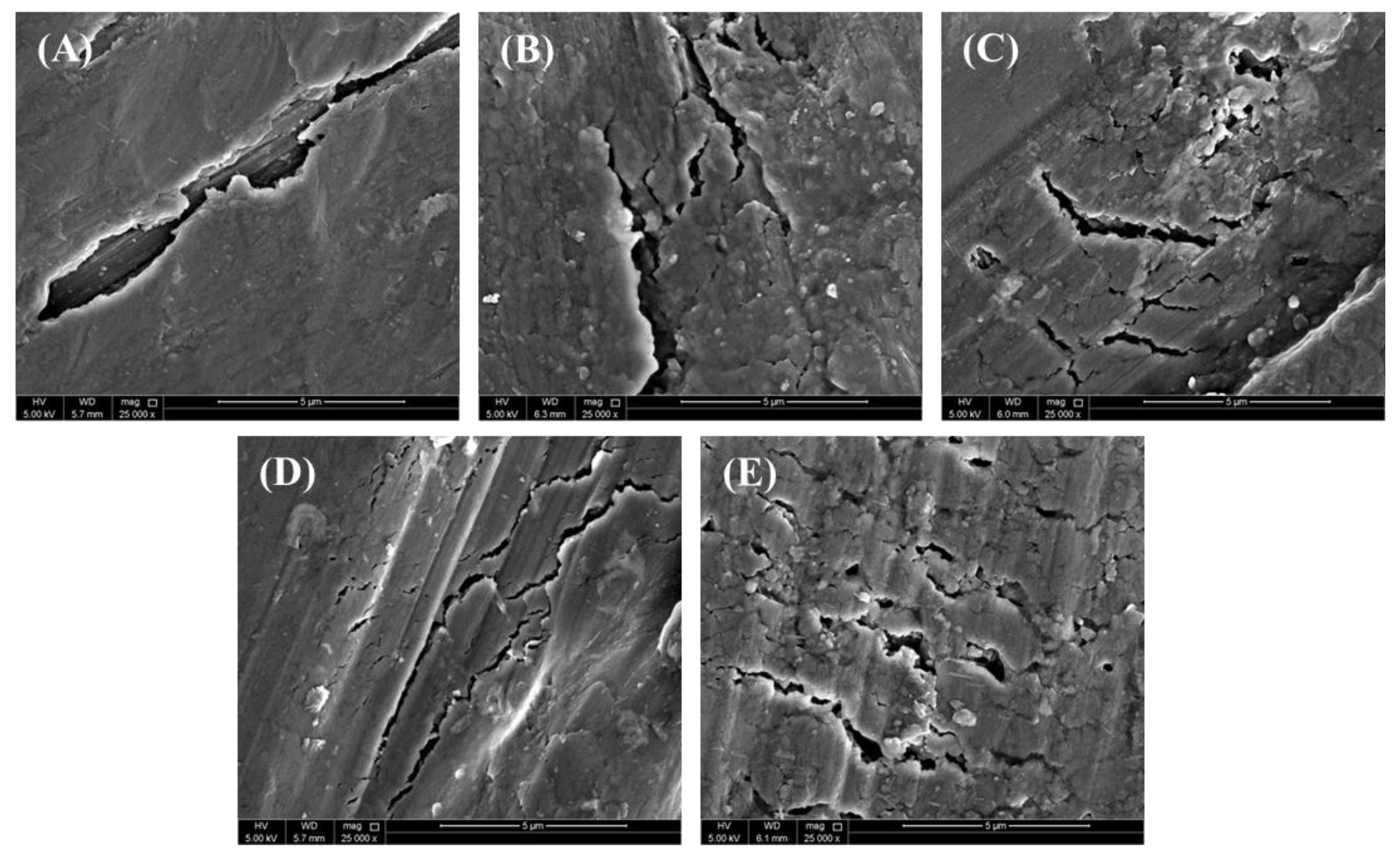 Materials 17 03258 g011