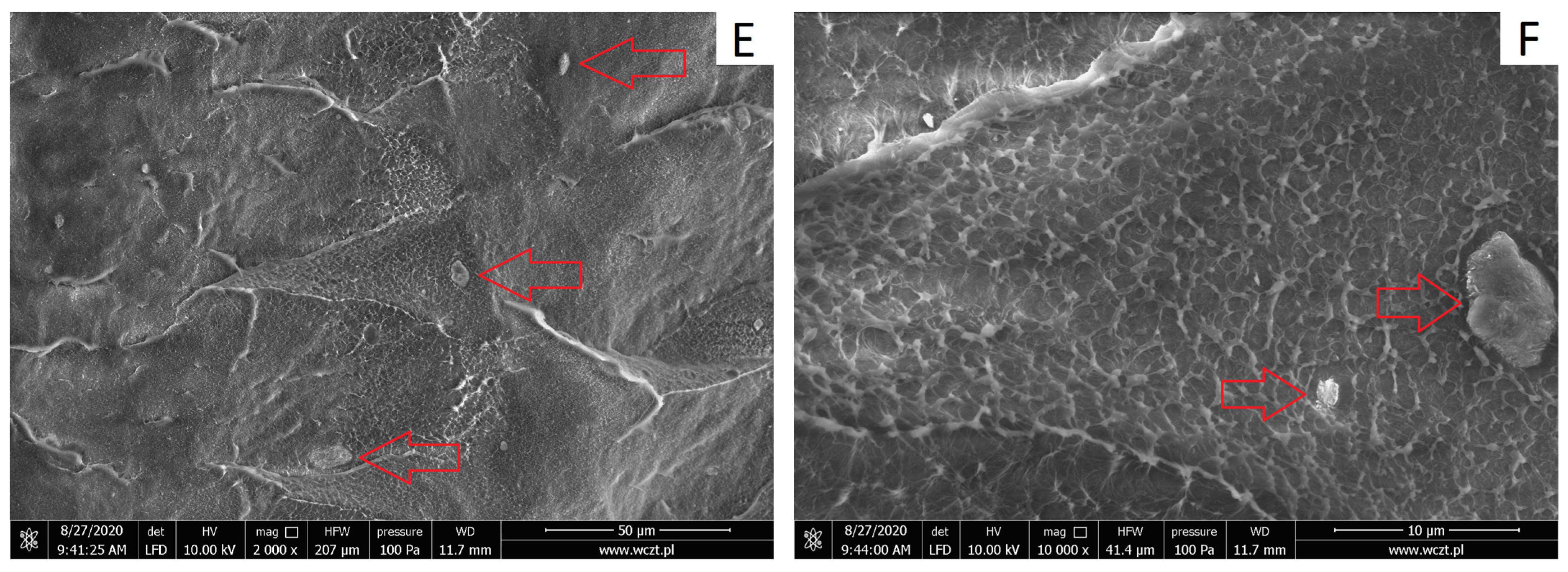 Materials 17 03260 g006b