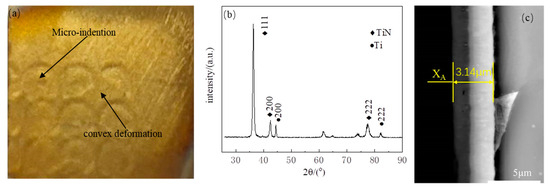 Fabrication of TiN Coatings Deposited on Laser Shock Micro