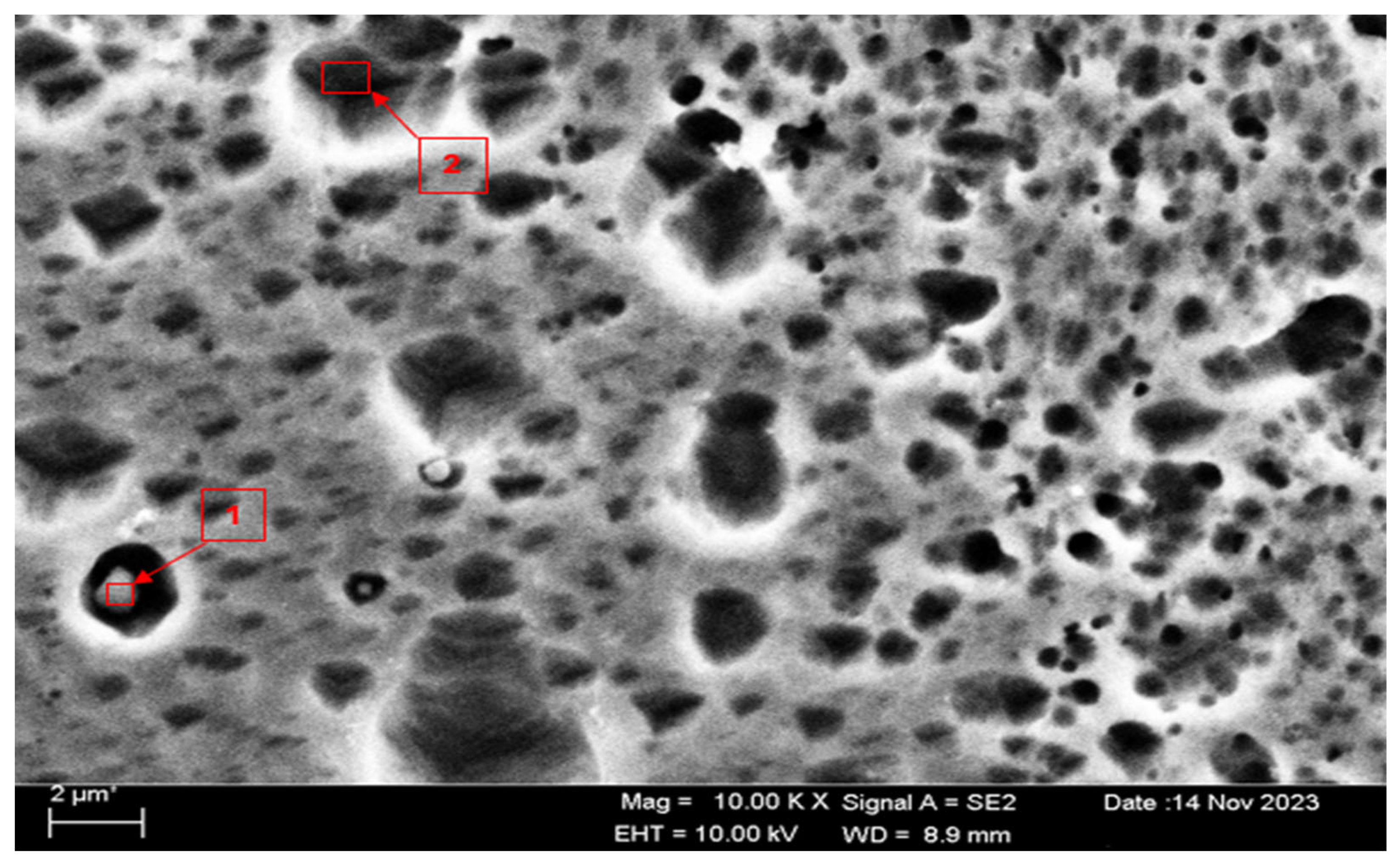 Materials 17 03313 g005