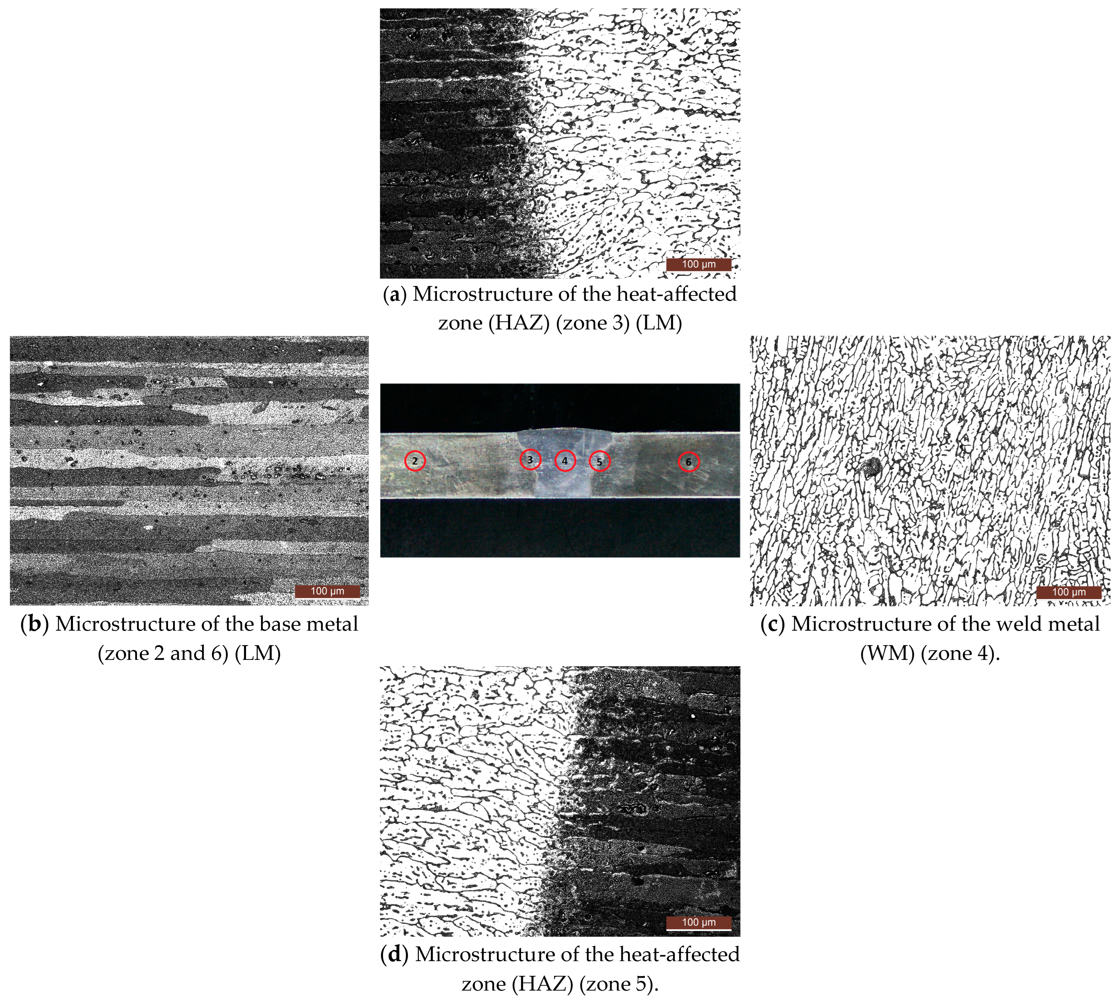 Materials 17 03336 g006