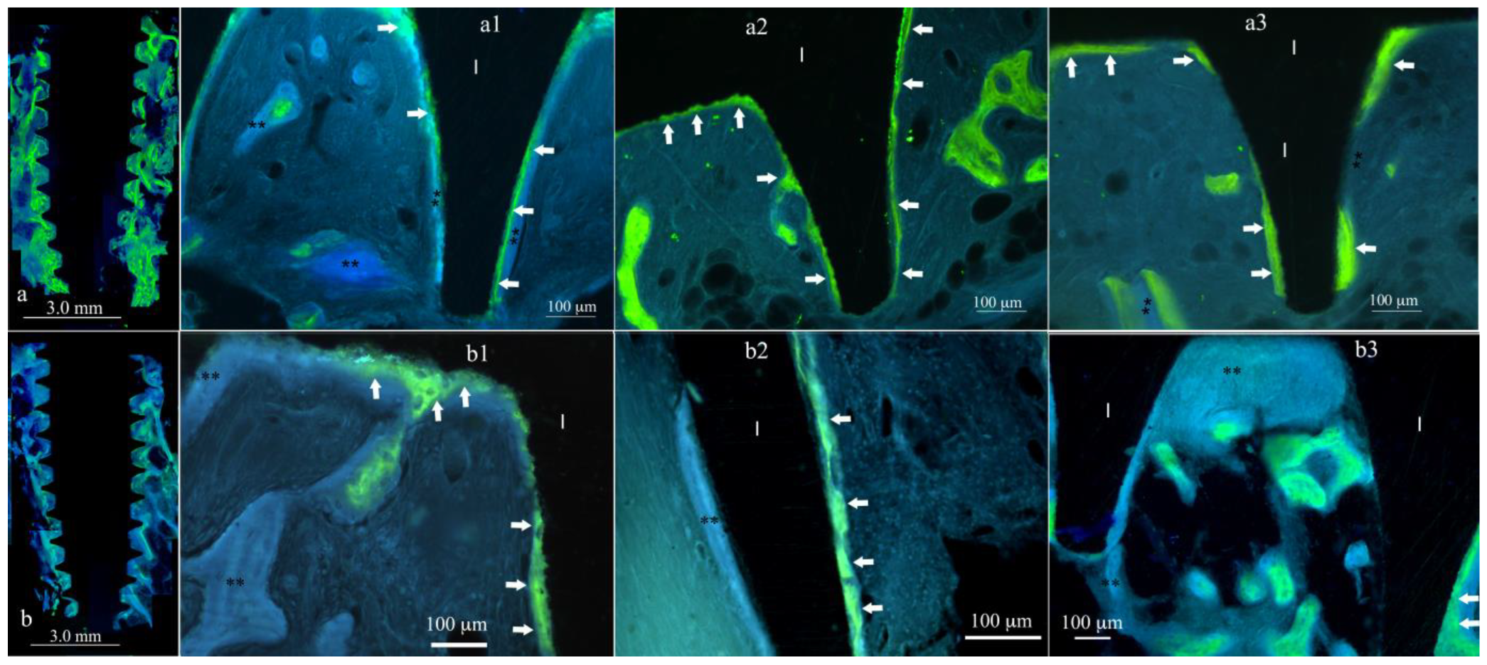 Materials 17 03341 g002