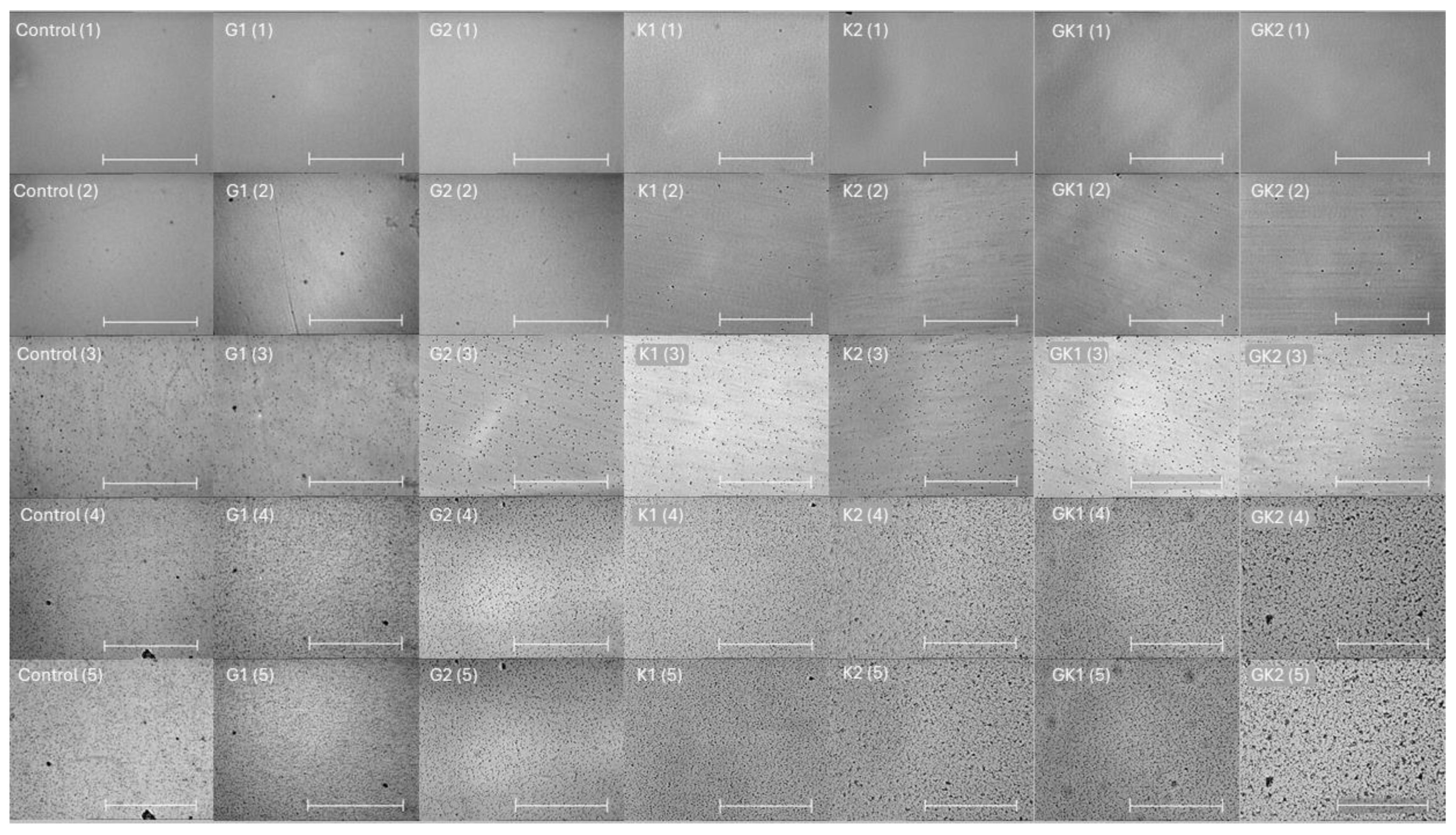 Materials 17 03349 g001