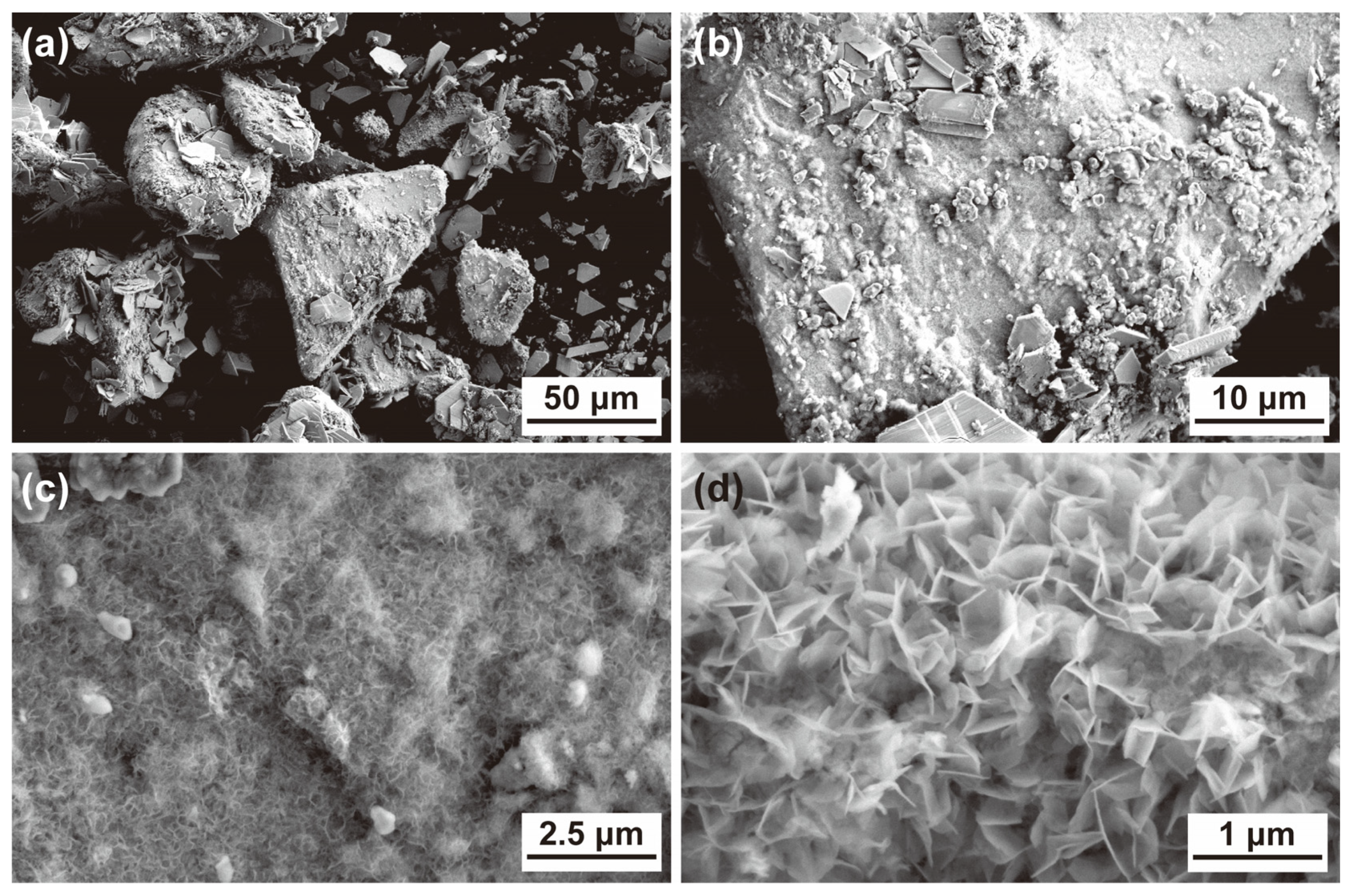 Materials 17 03356 g003