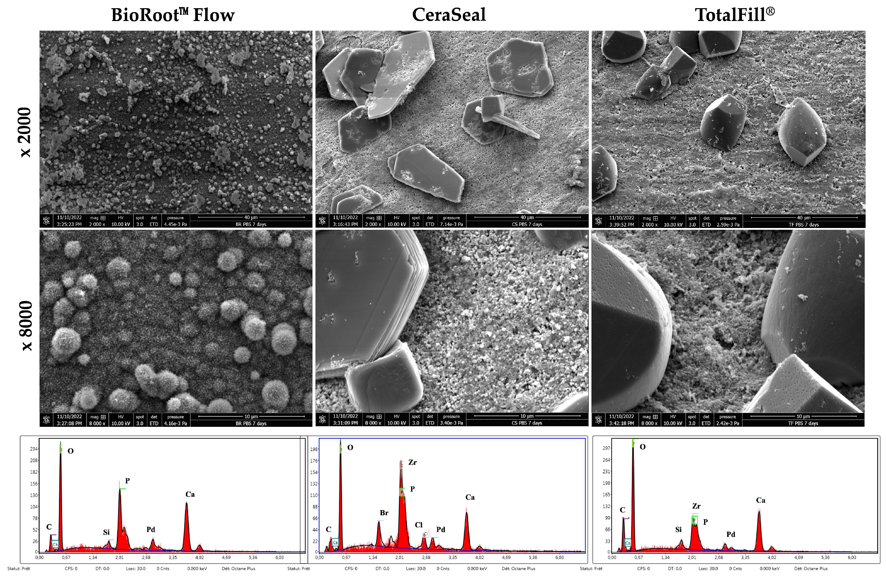 Materials 17 03374 g004