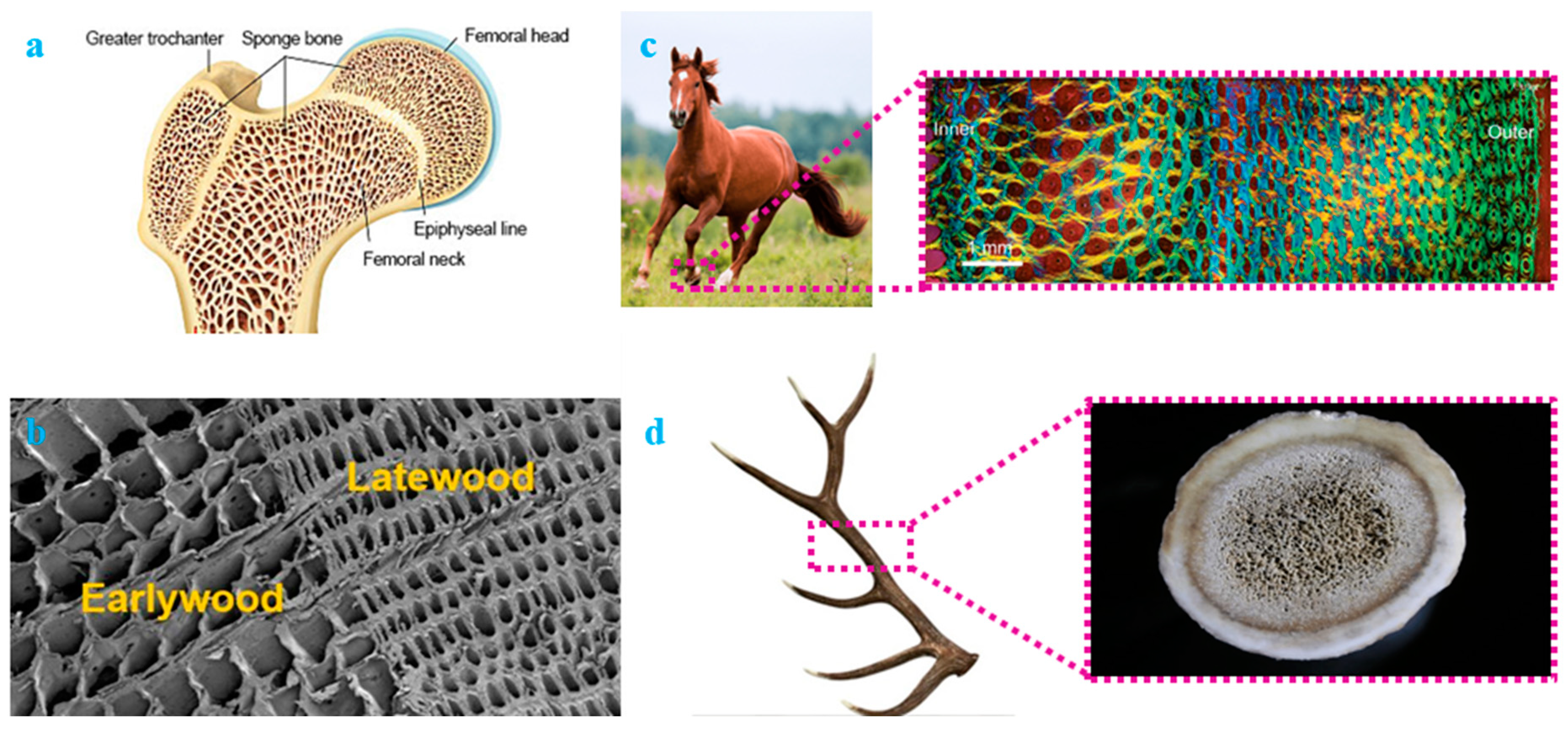 Materials 17 03398 g002