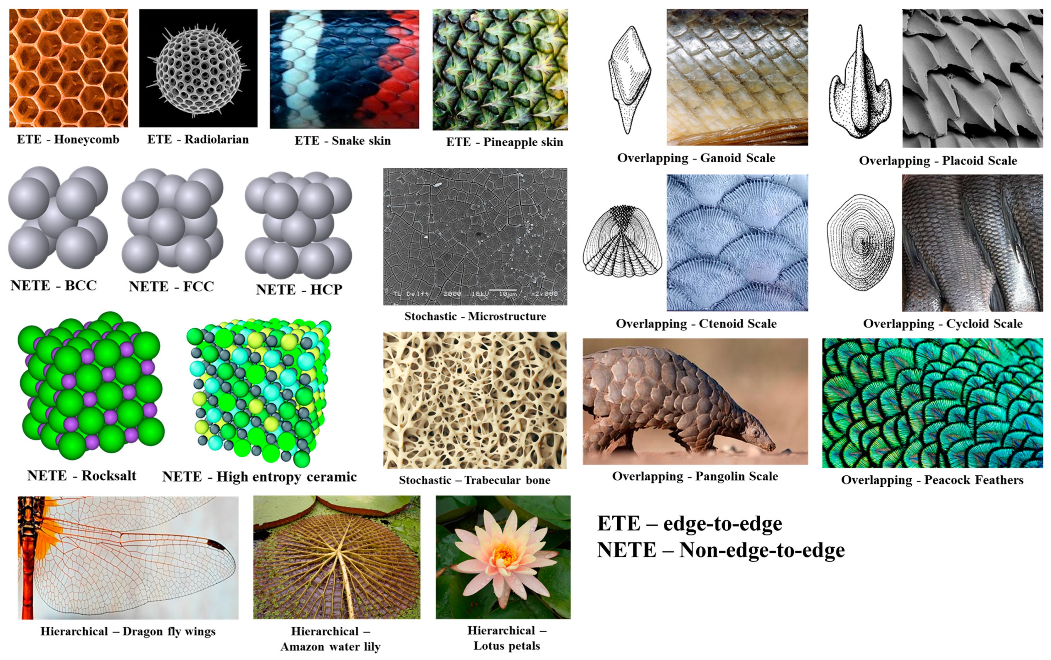 Materials 17 03398 g022