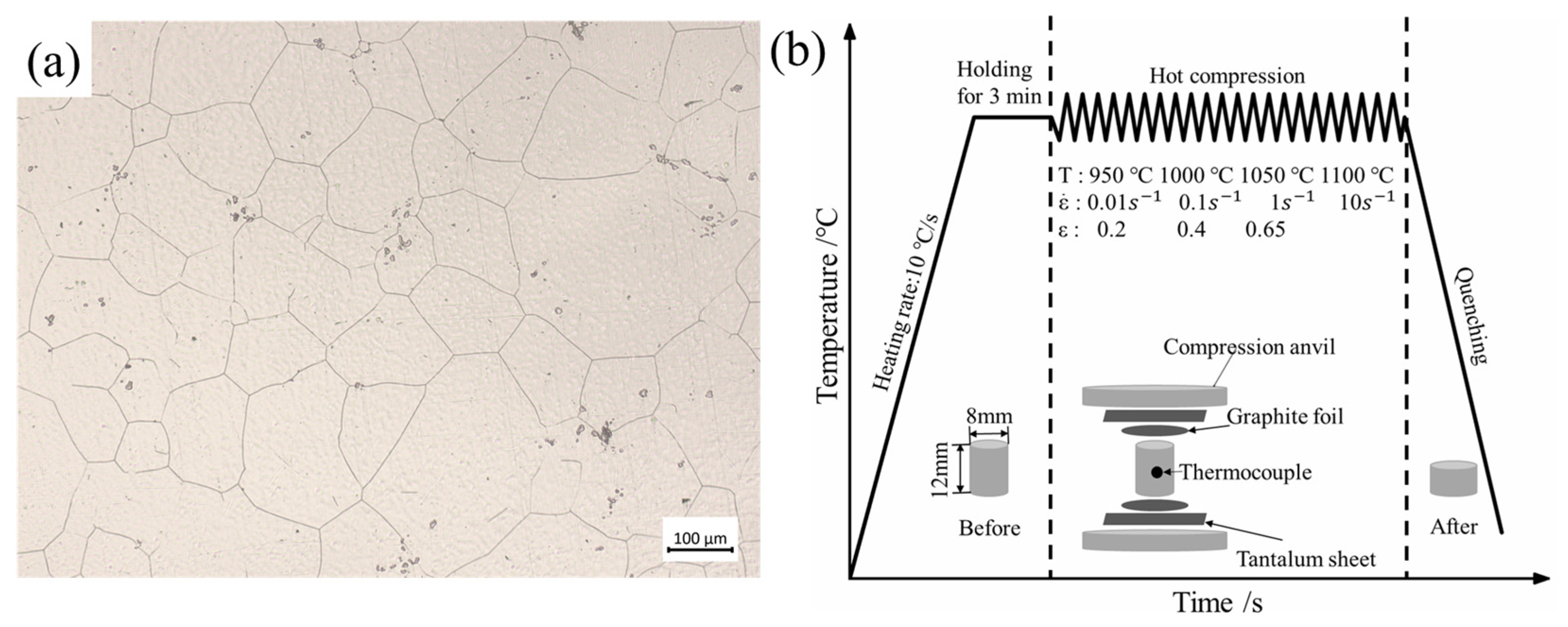 Materials 17 03400 g001