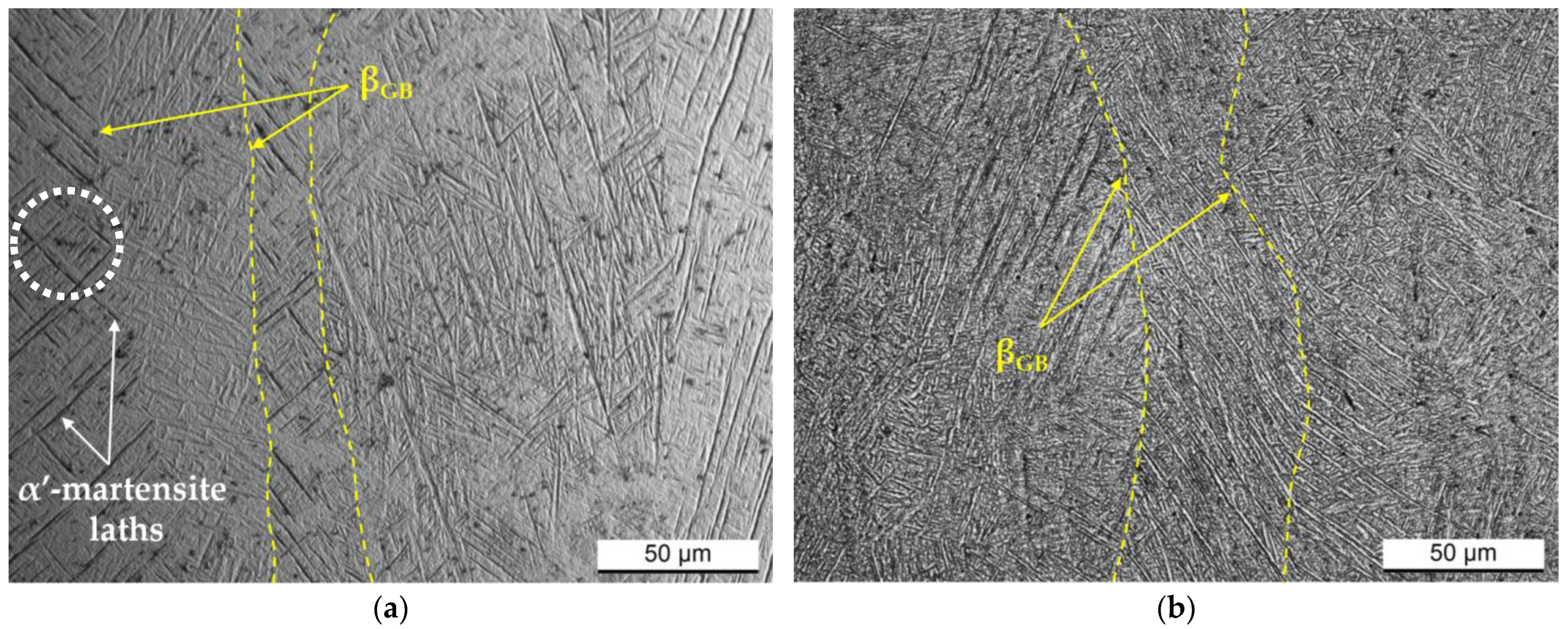 Materials 17 03401 g005