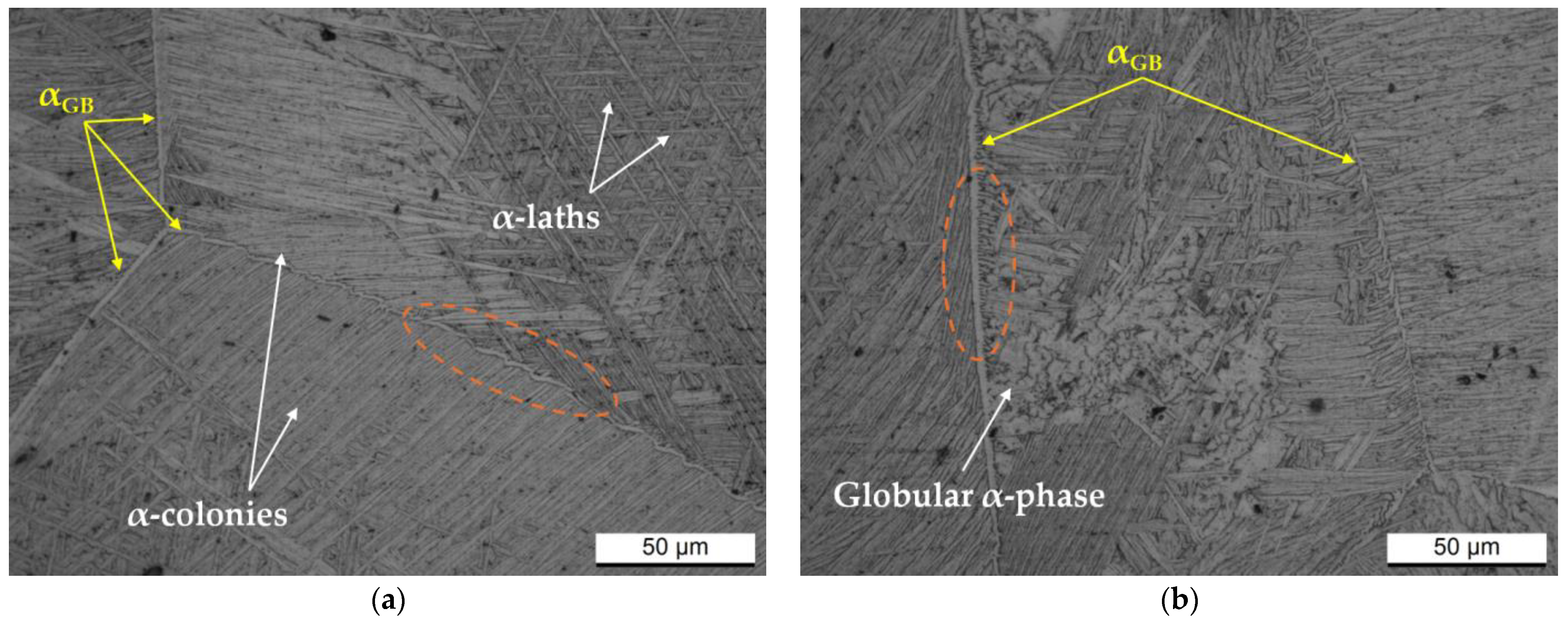 Materials 17 03401 g006
