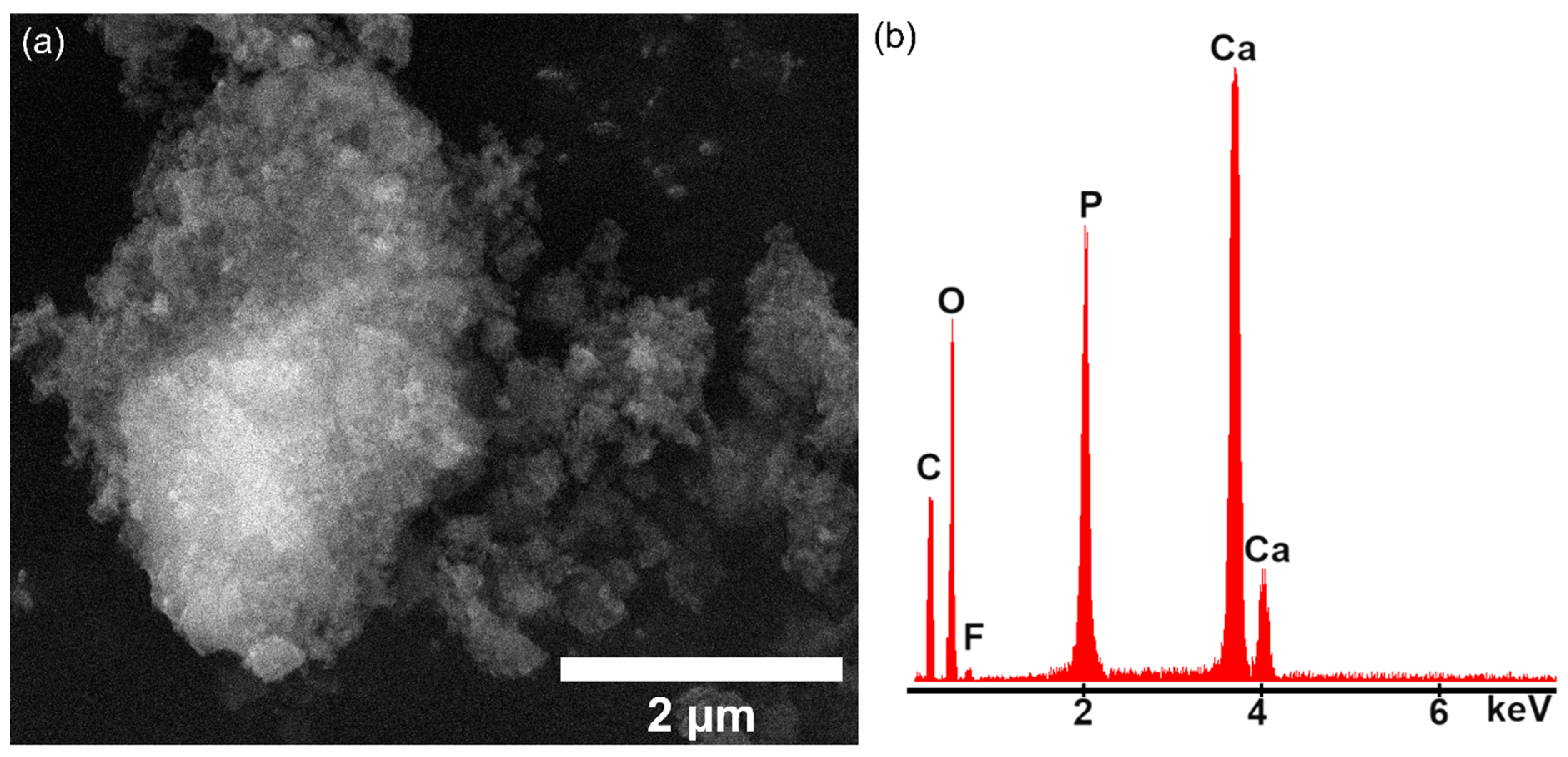Materials 17 03404 g011