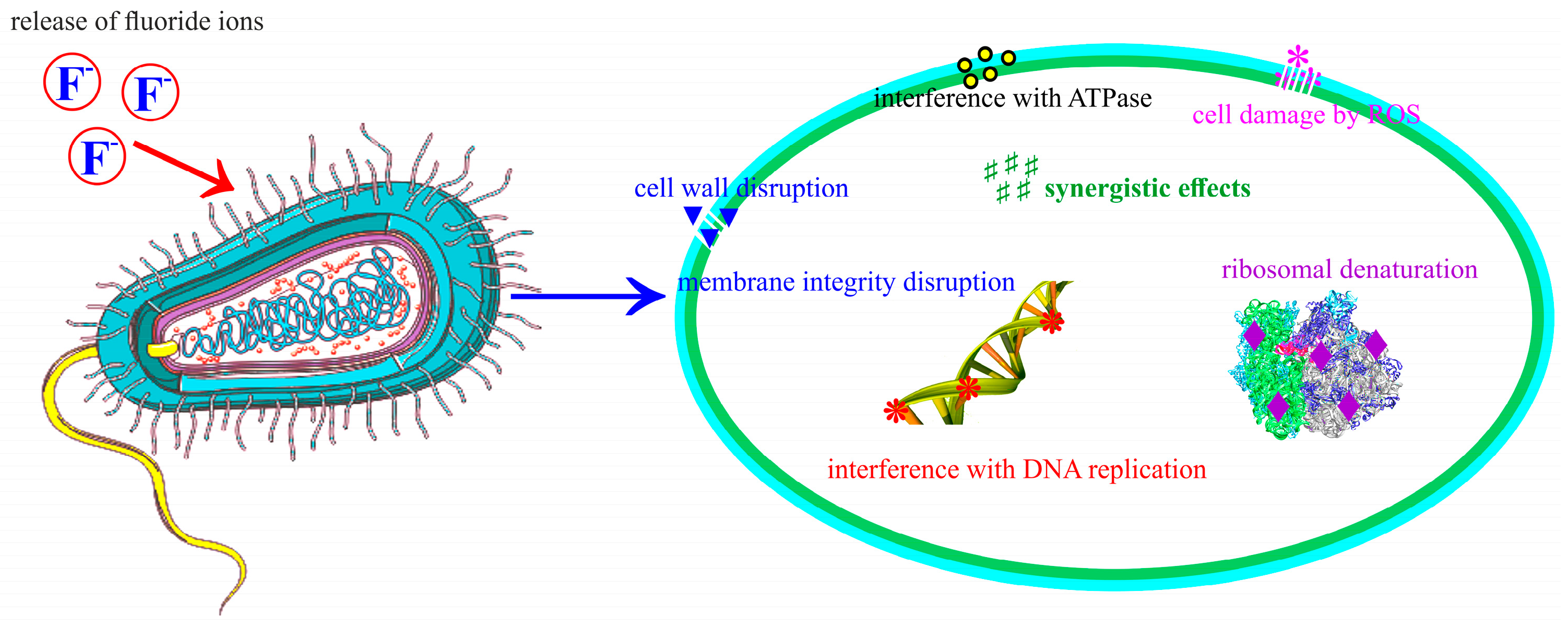 Materials 17 03404 g017