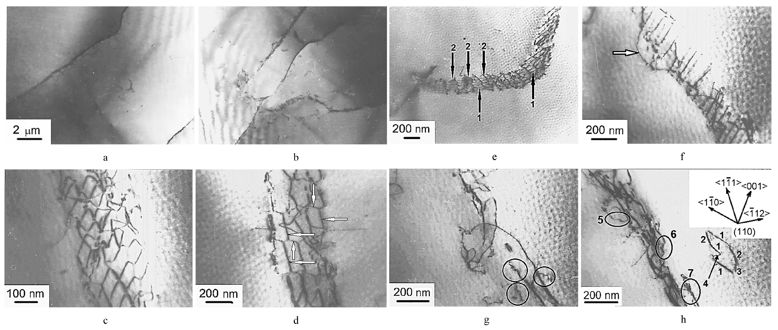 Materials 17 03417 g004