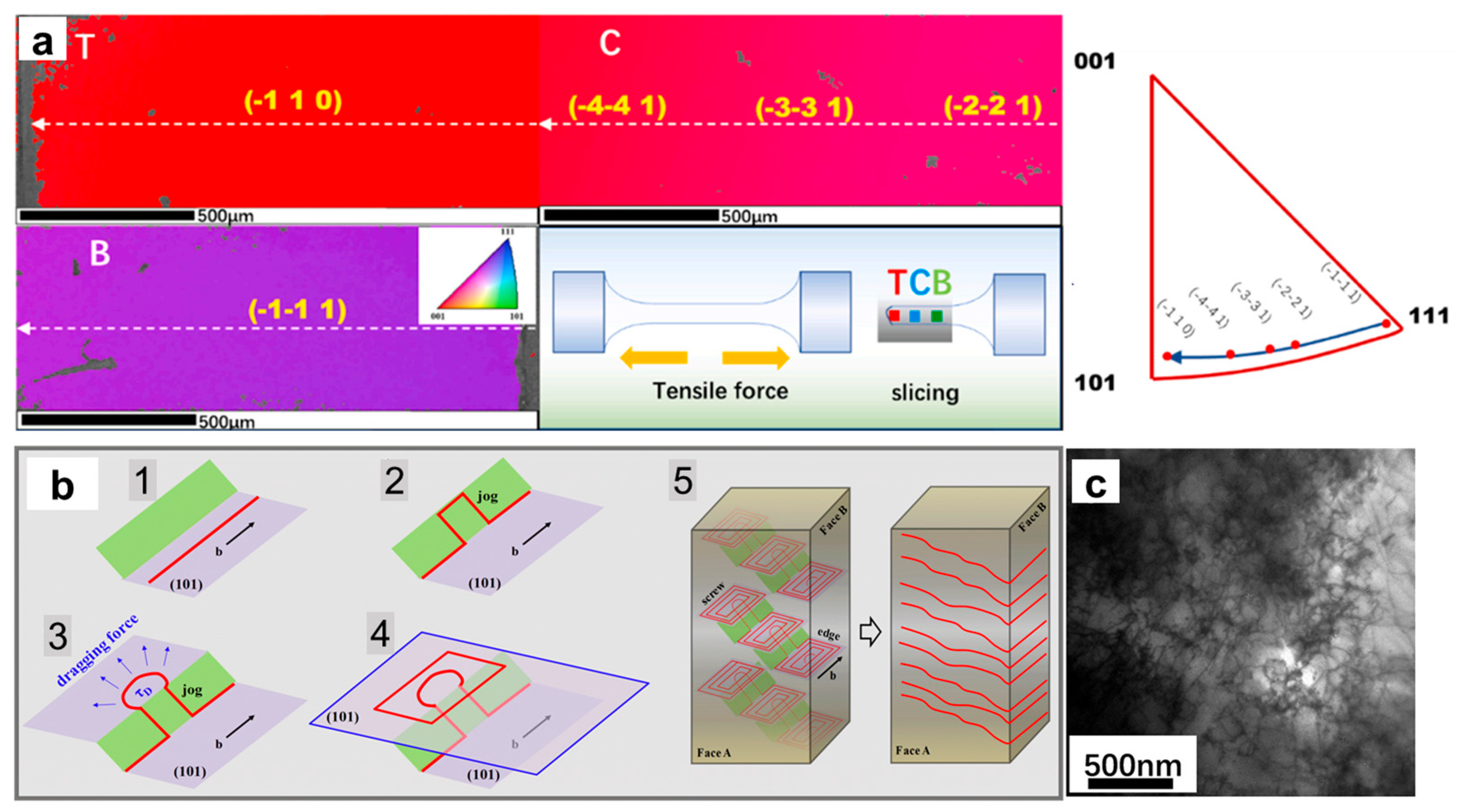 Materials 17 03417 g006