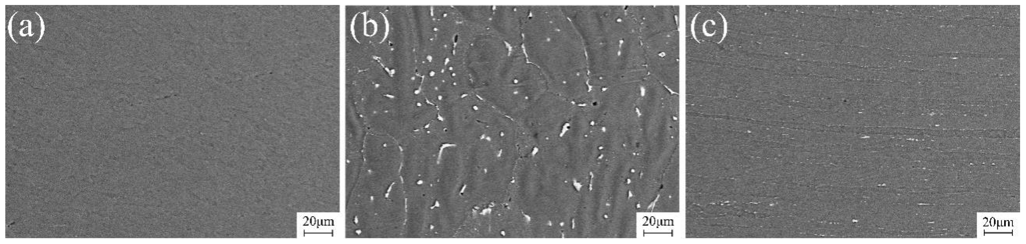 Materials 17 03418 g010