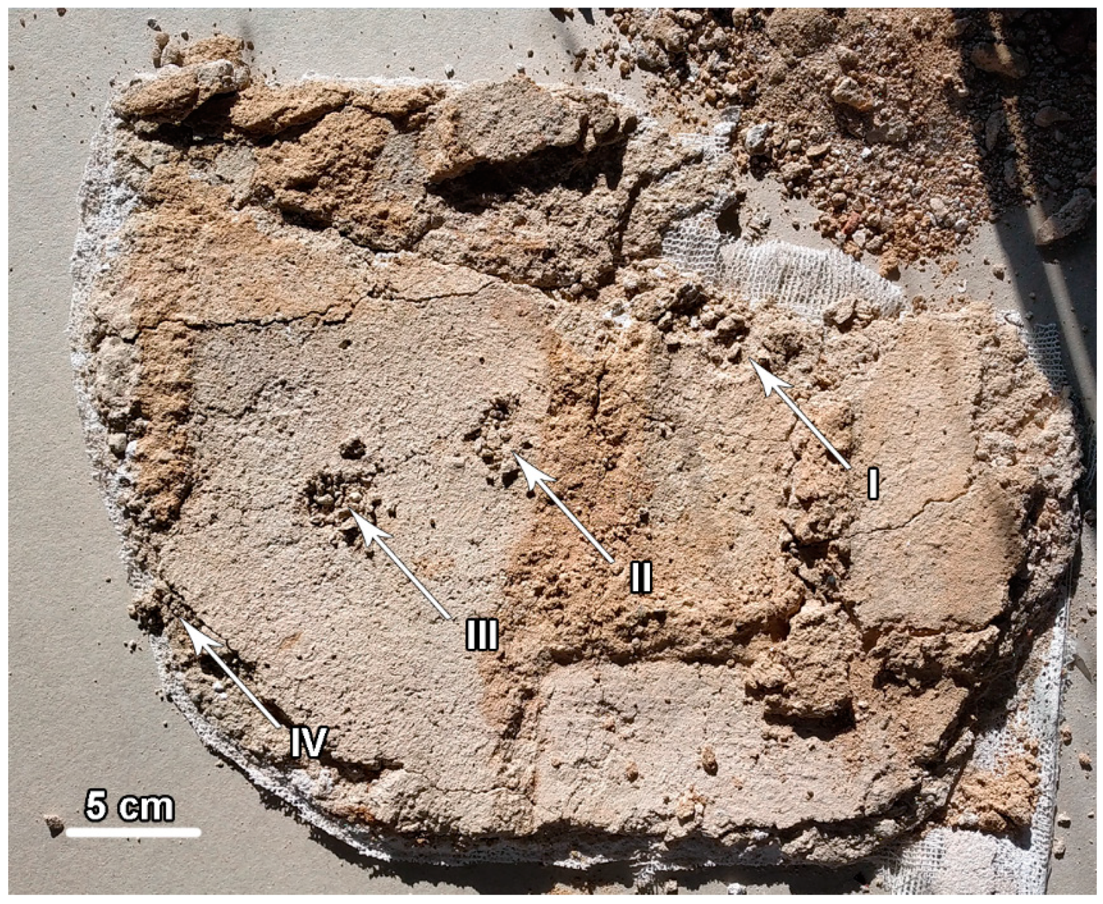 Materials 17 03419 g011