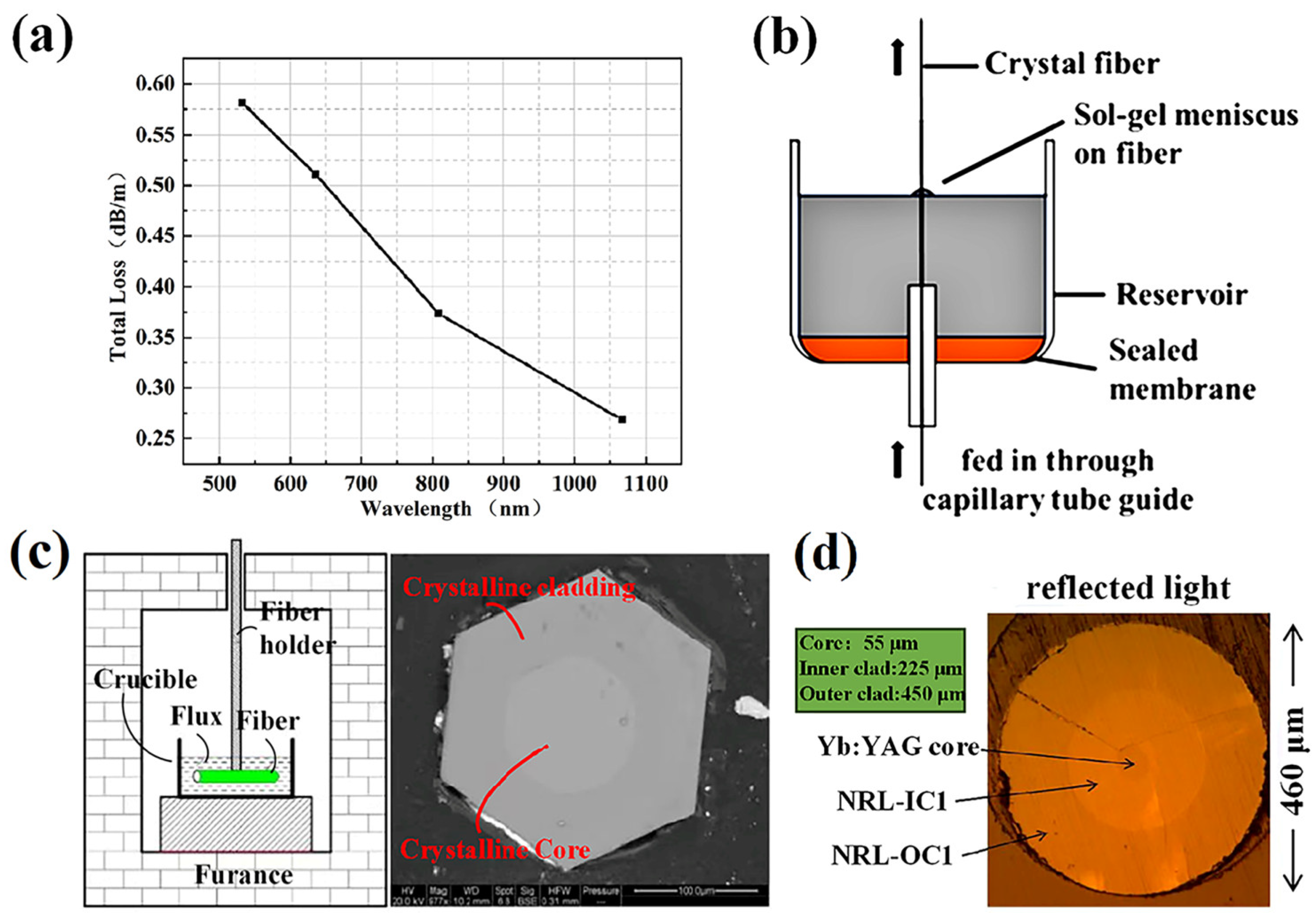 Materials 17 03426 g004