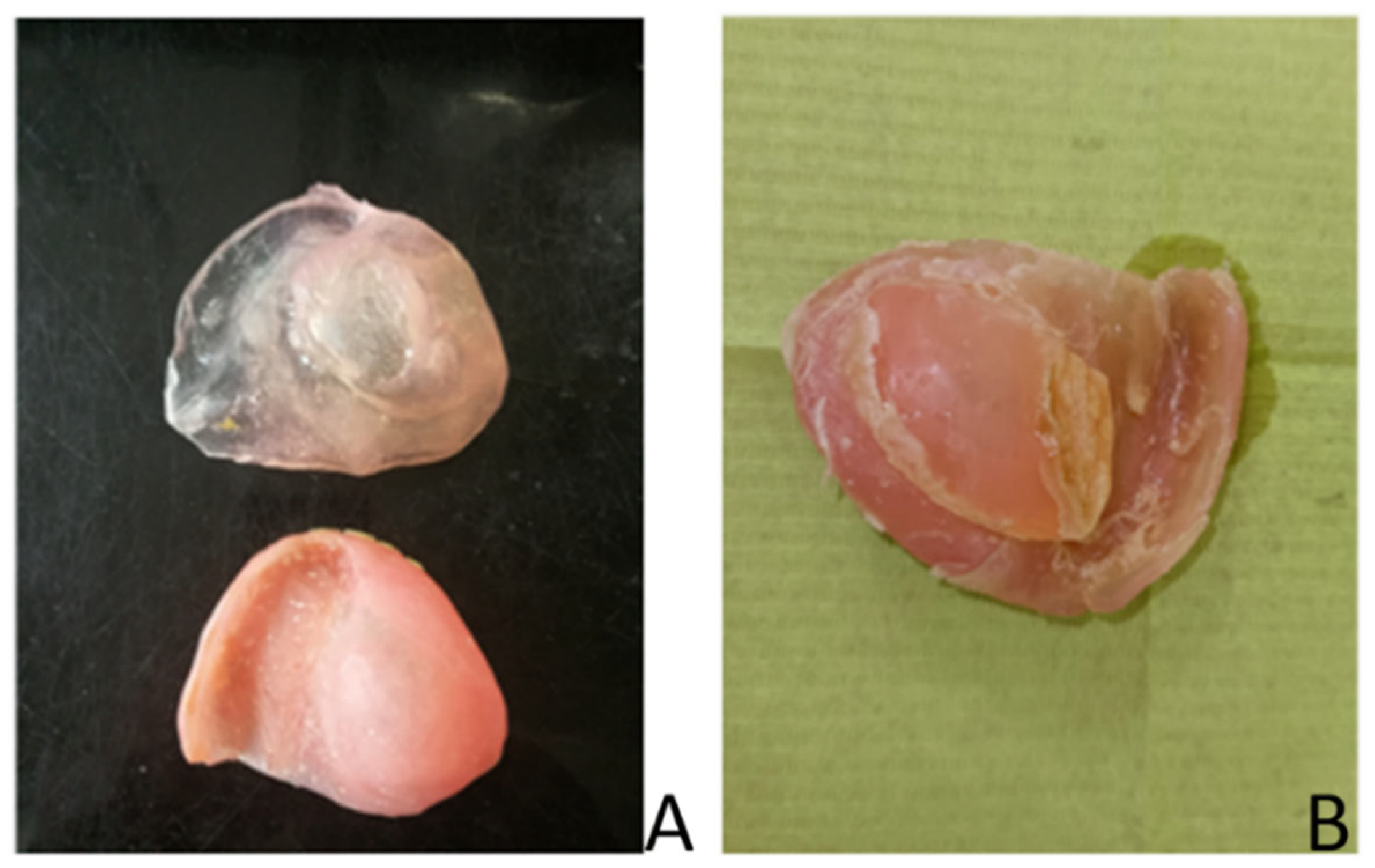 Materials 17 03439 g001