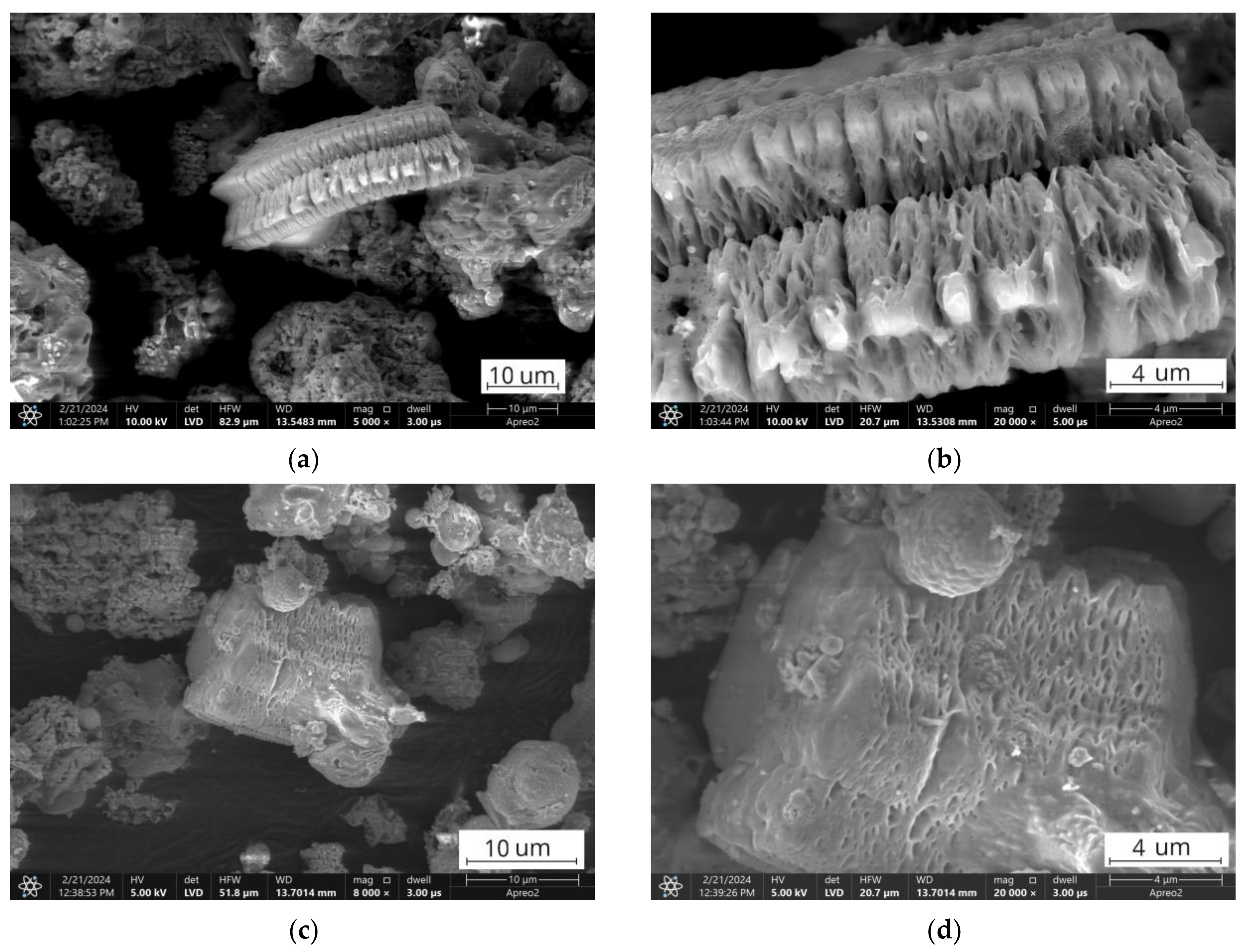 Materials 17 03464 g012