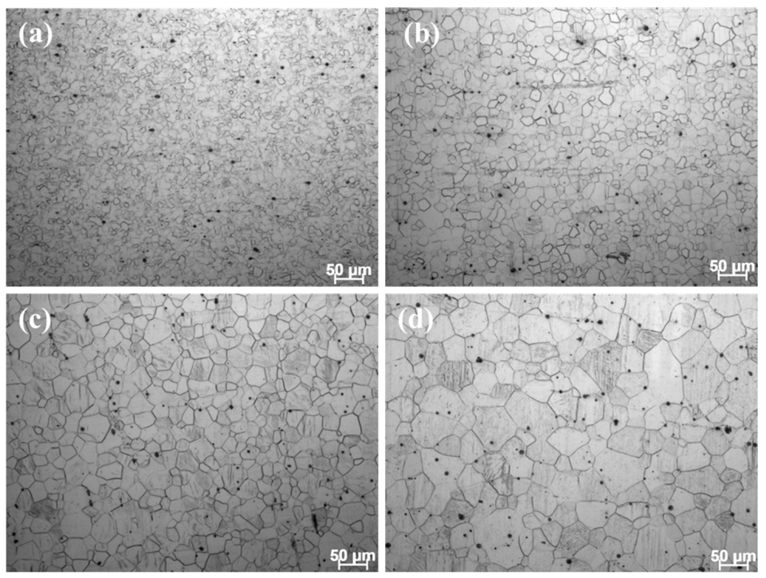 Materials 17 03506 g006