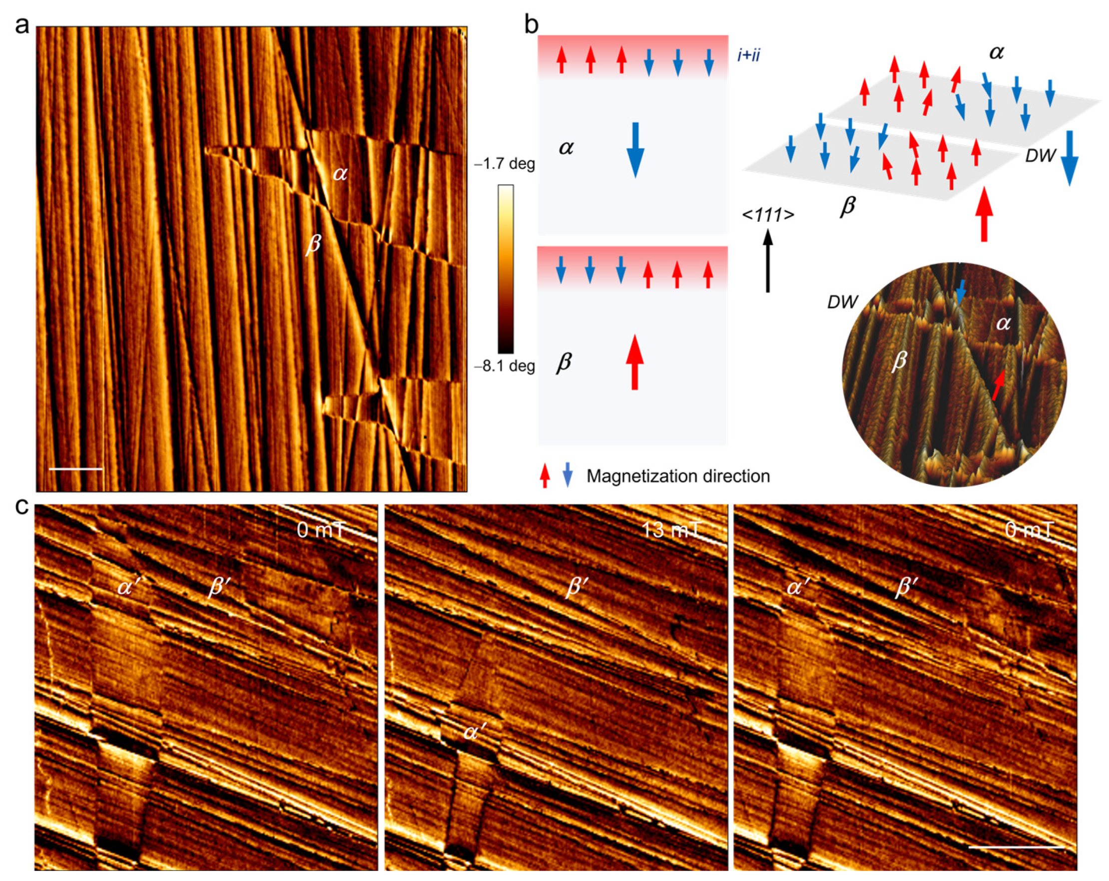 Materials 17 03509 g006