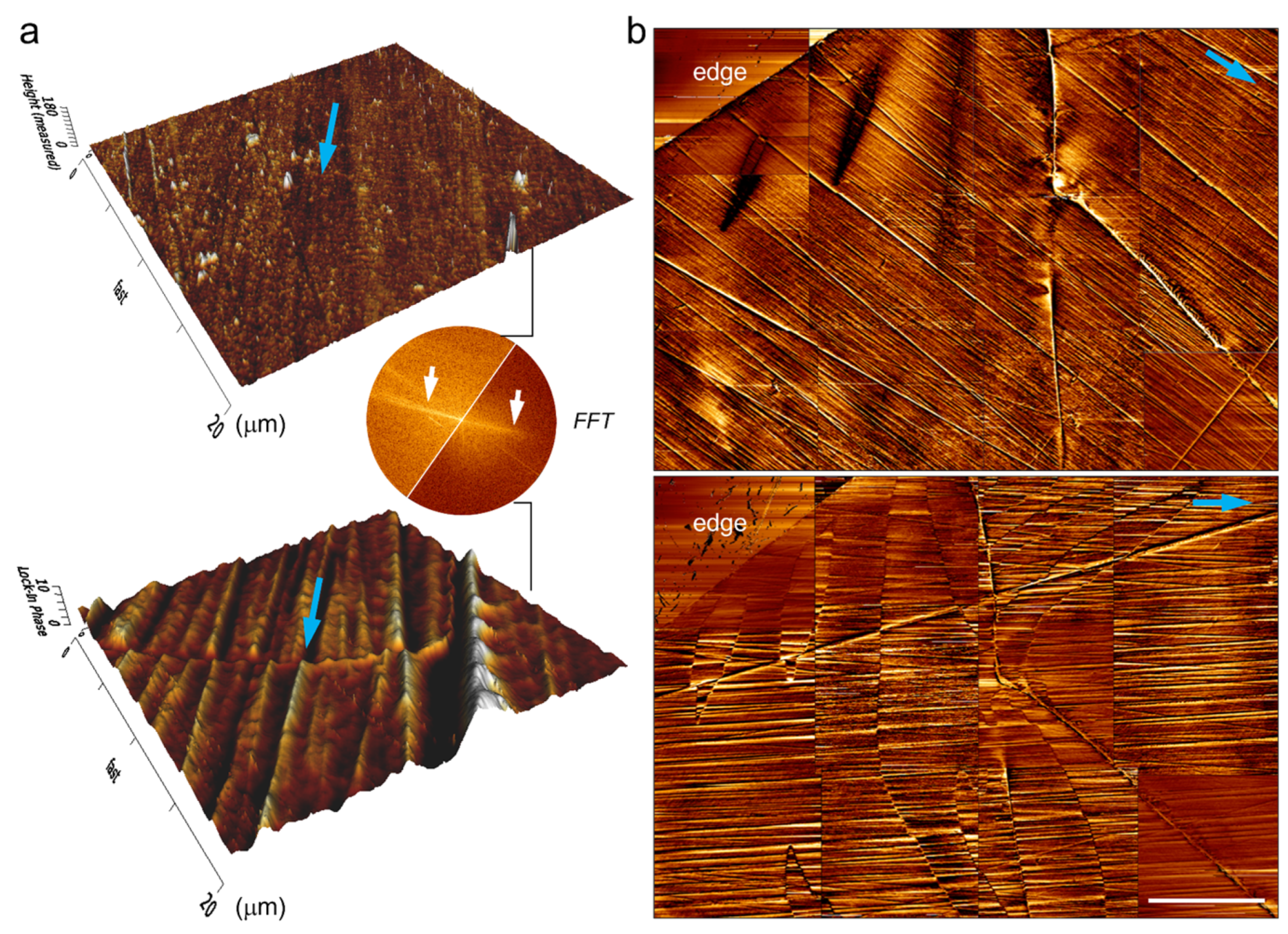 Materials 17 03509 g008
