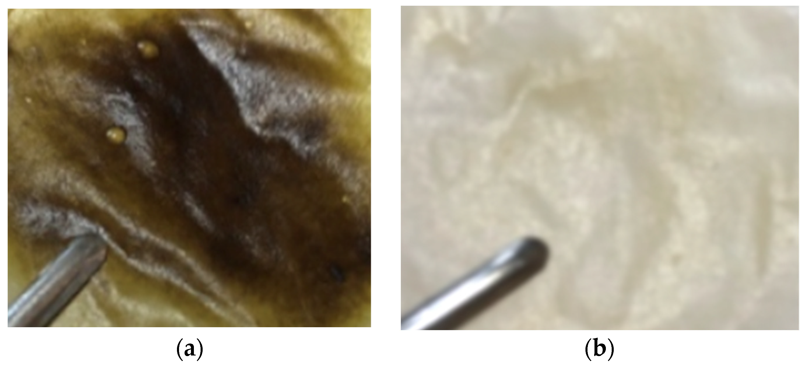 Materials 17 03510 g001