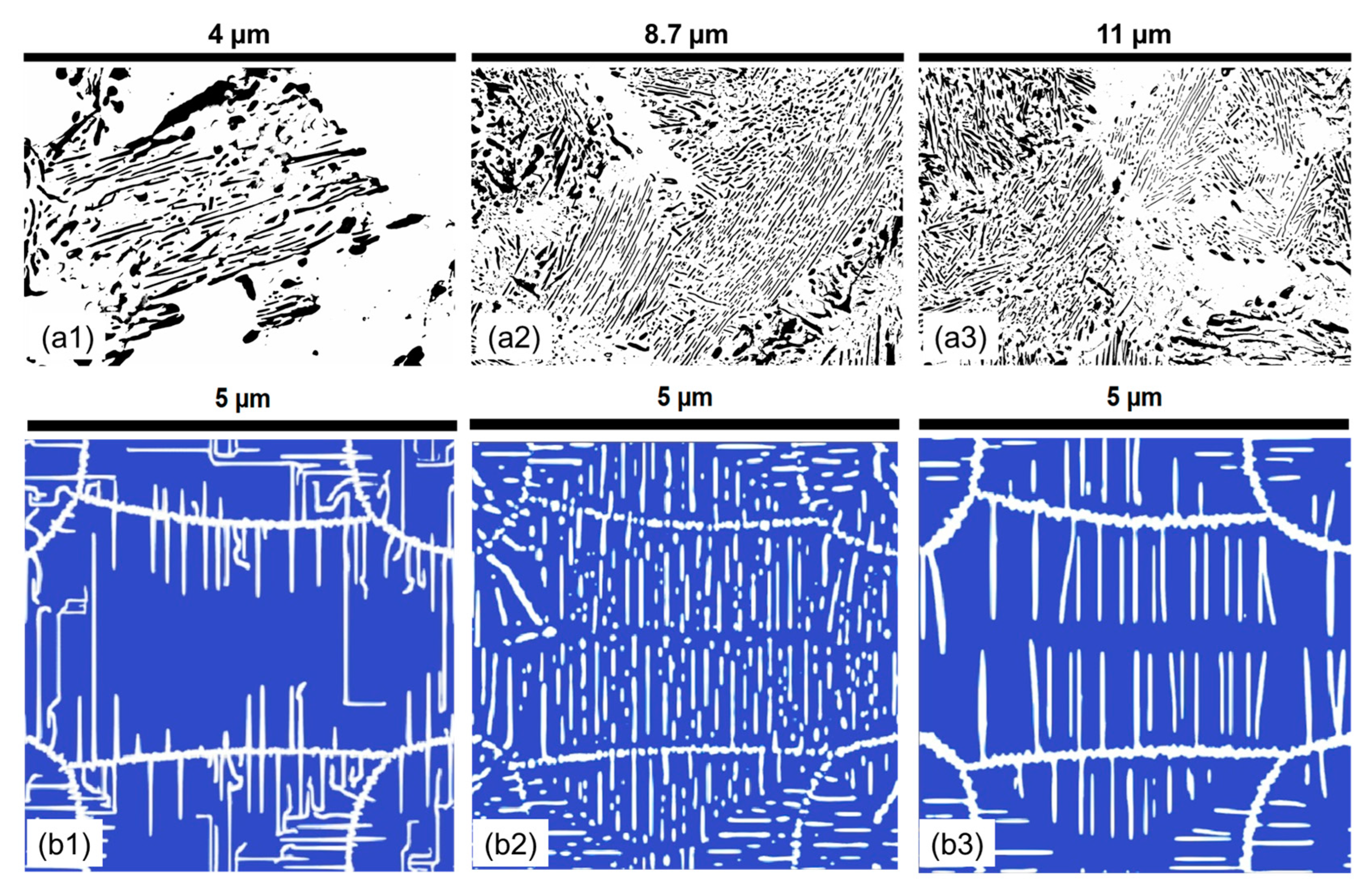 Materials 17 03538 g010