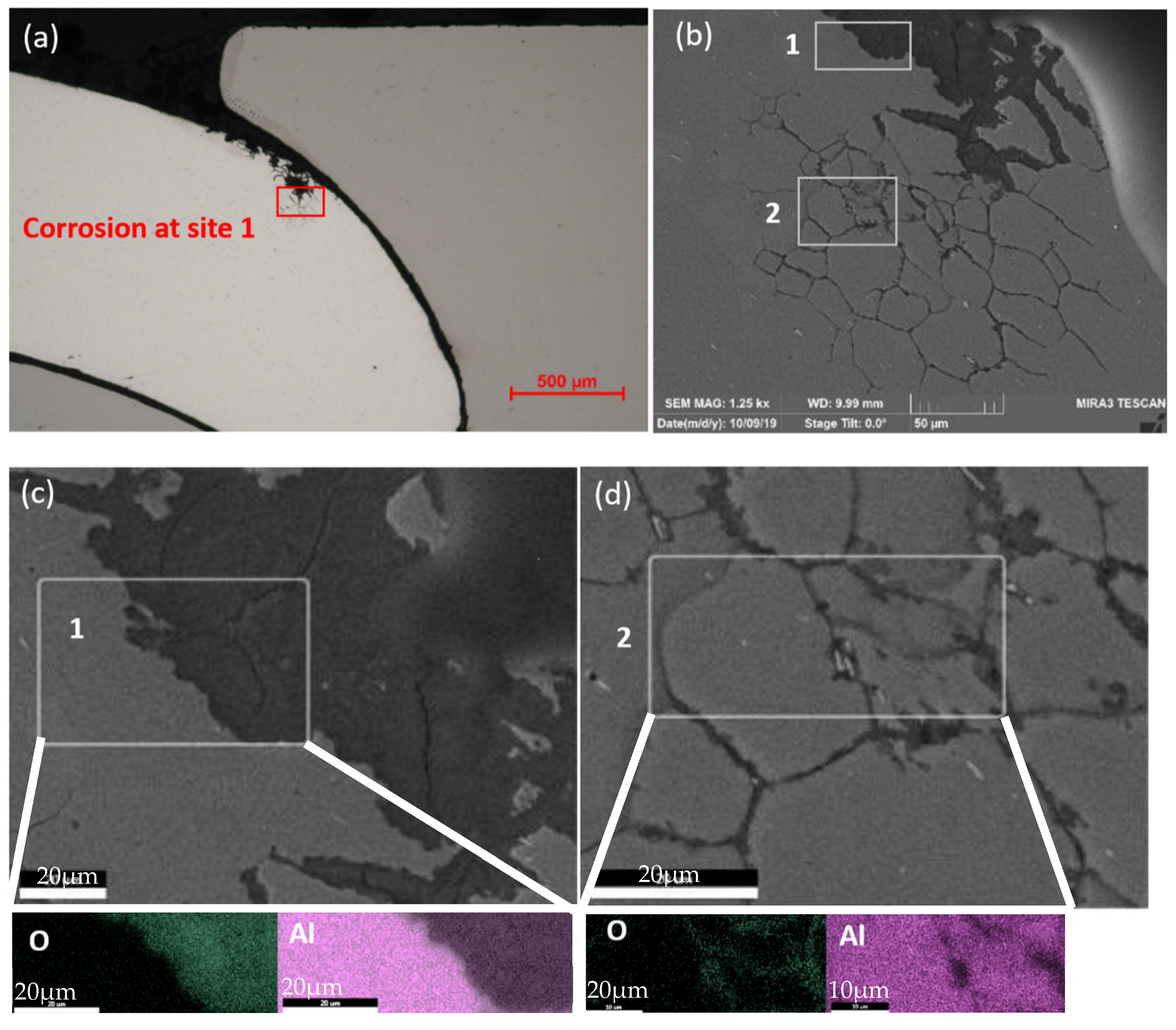 Materials 17 03542 g010