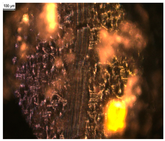 Materials 17 03555 i002