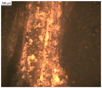 Materials 17 03555 i003