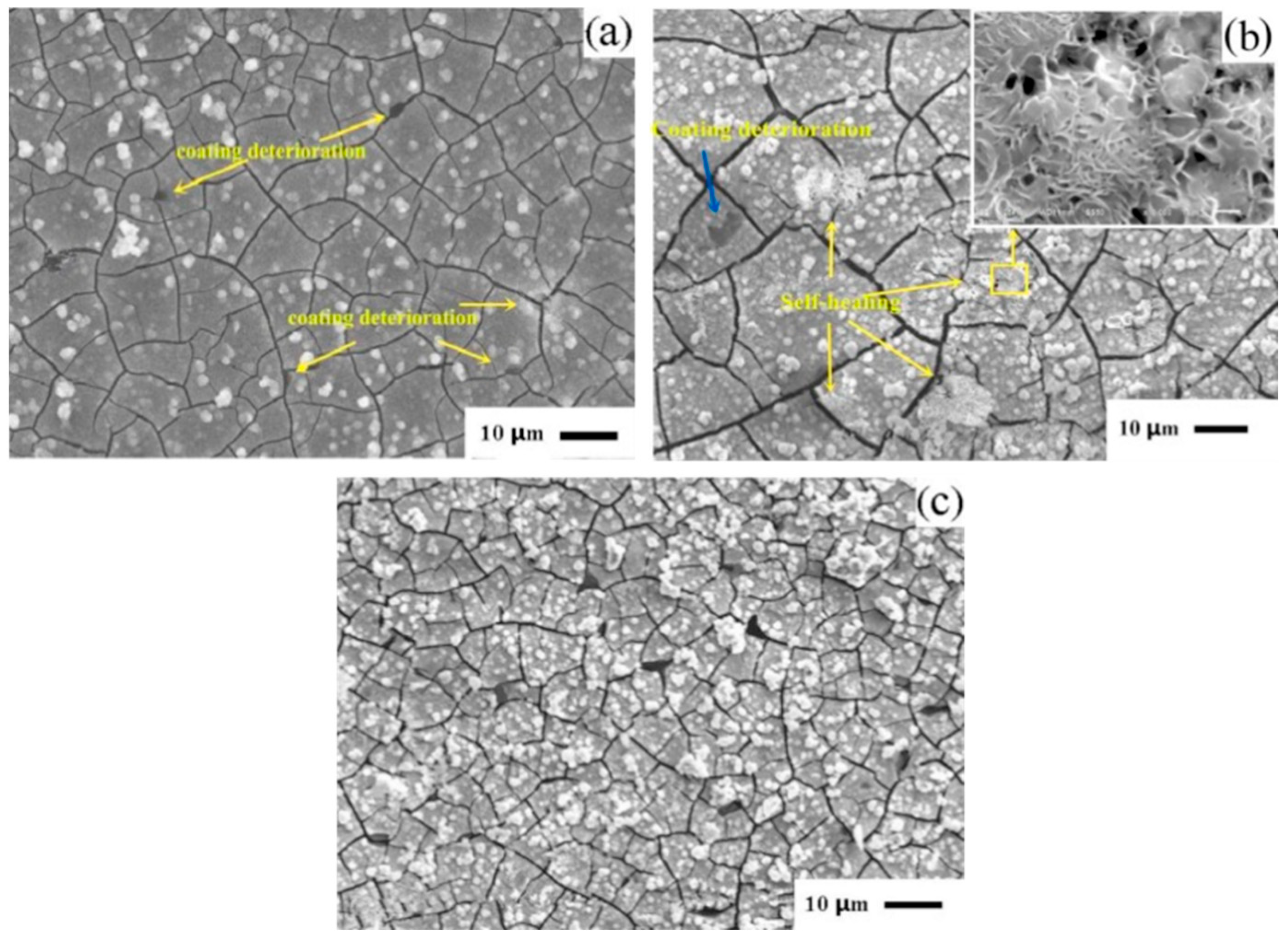 Materials 17 03570 g004