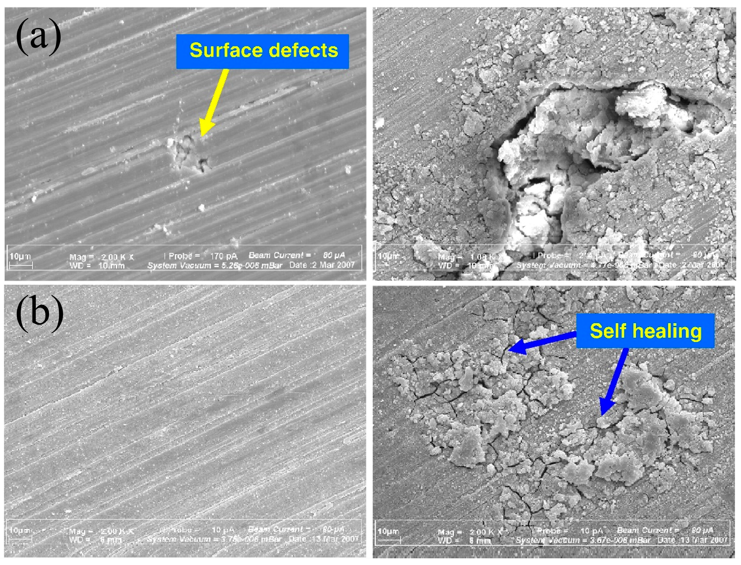 Materials 17 03570 g005