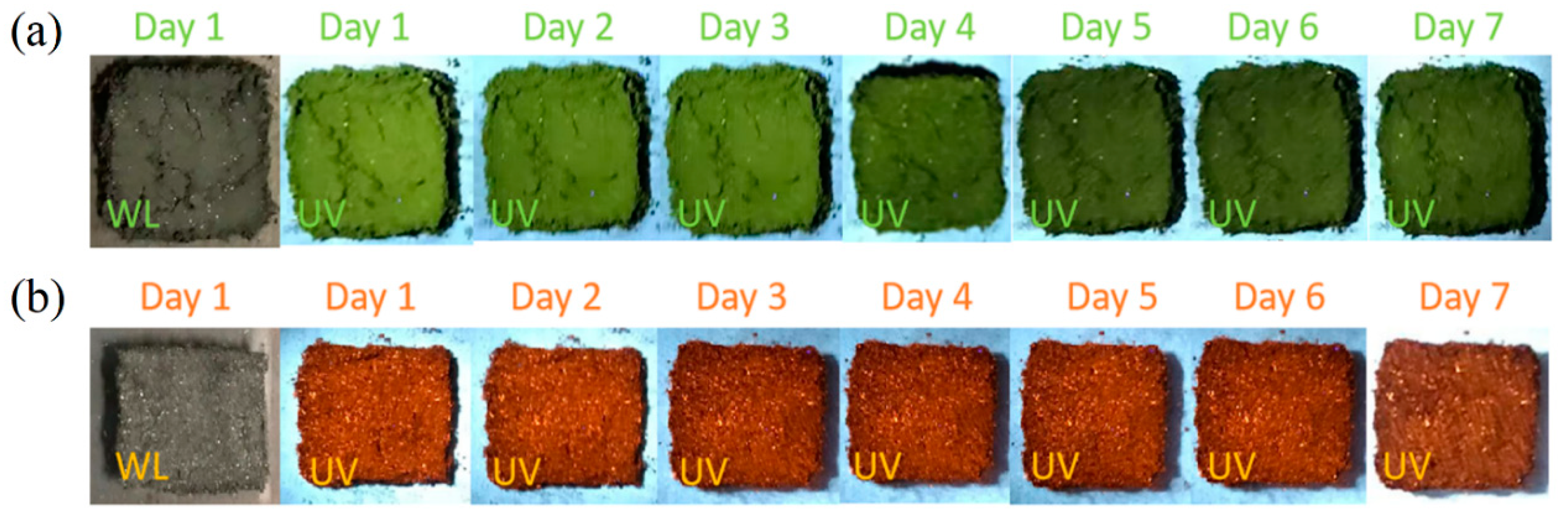 Materials 17 03577 g001