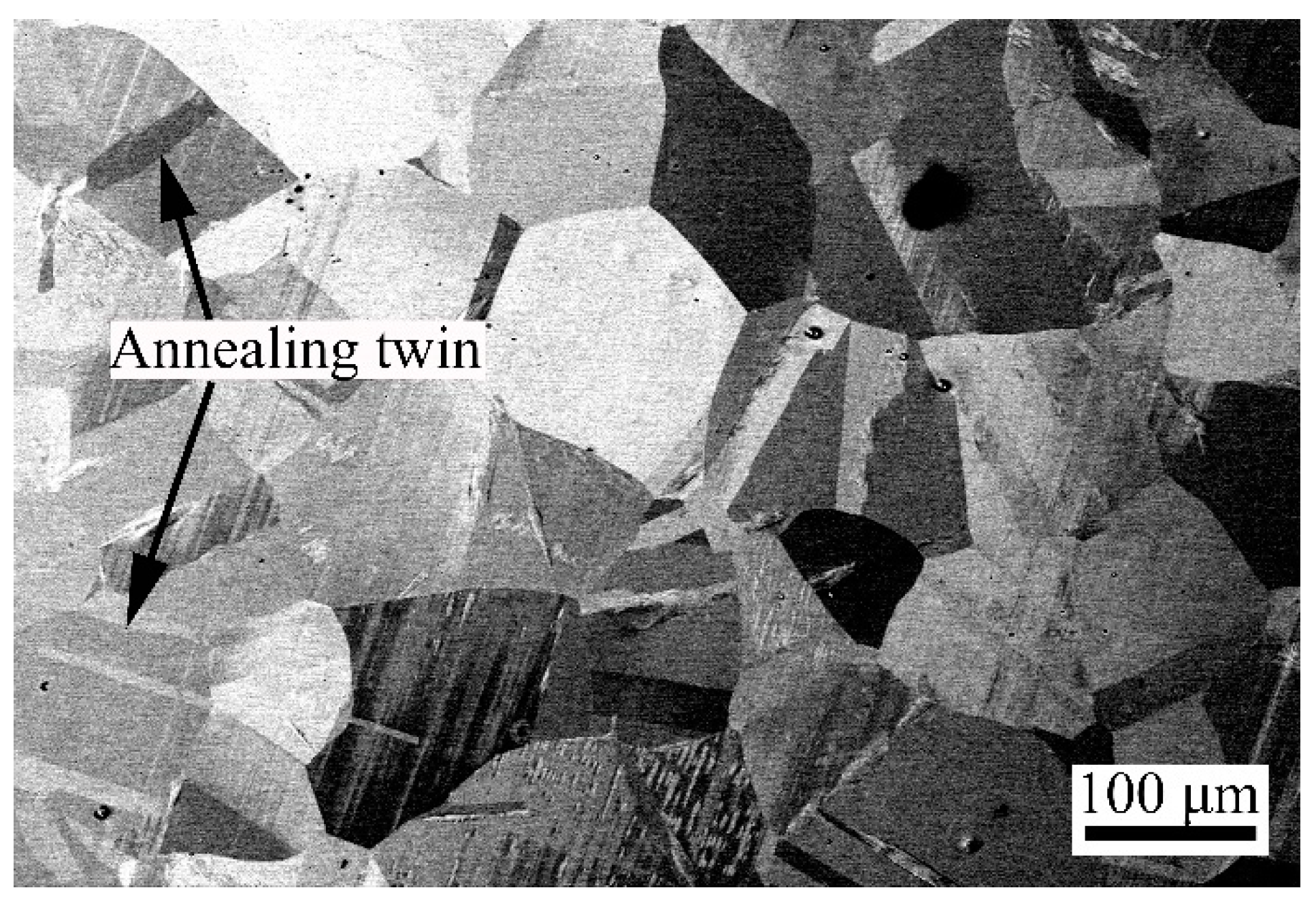 Materials 17 03589 g001