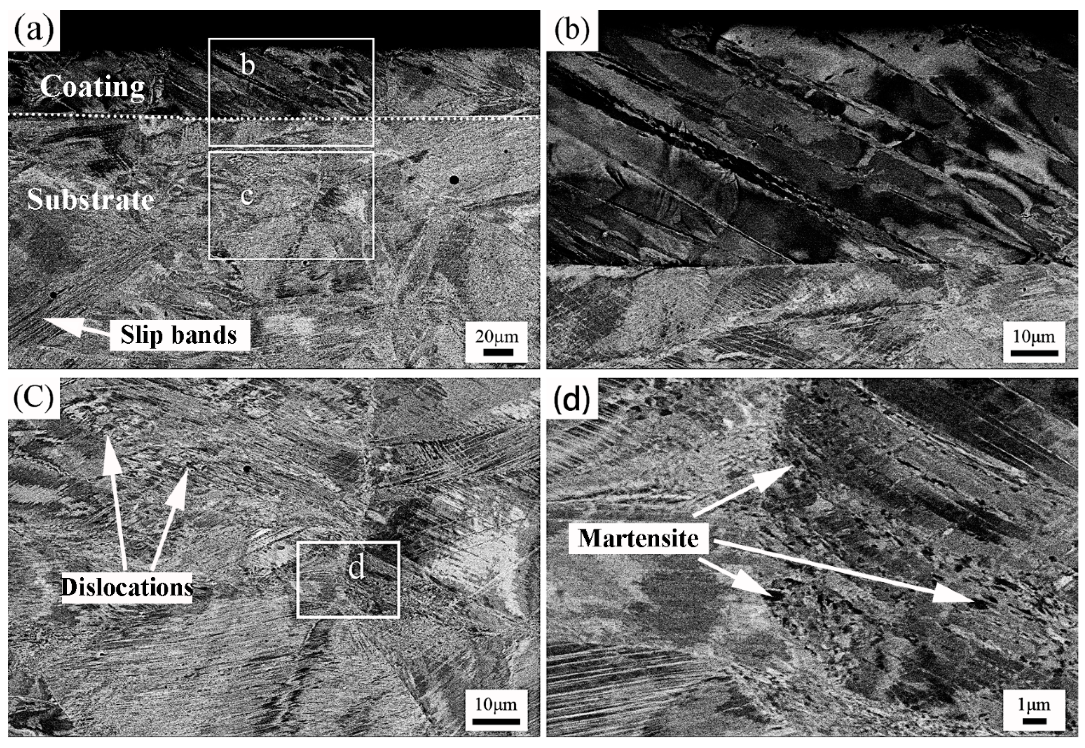 Materials 17 03589 g006