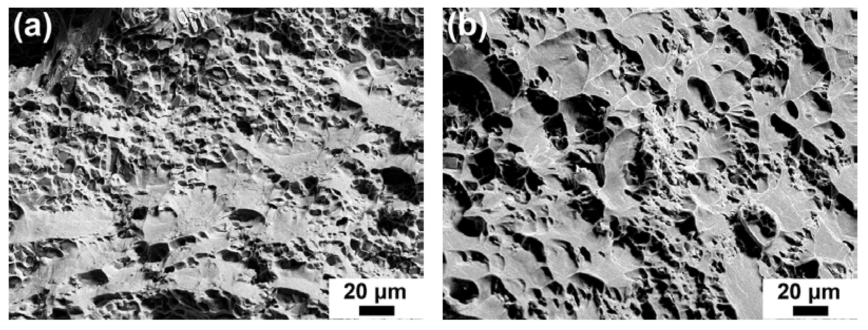 Materials 17 03607 g008a