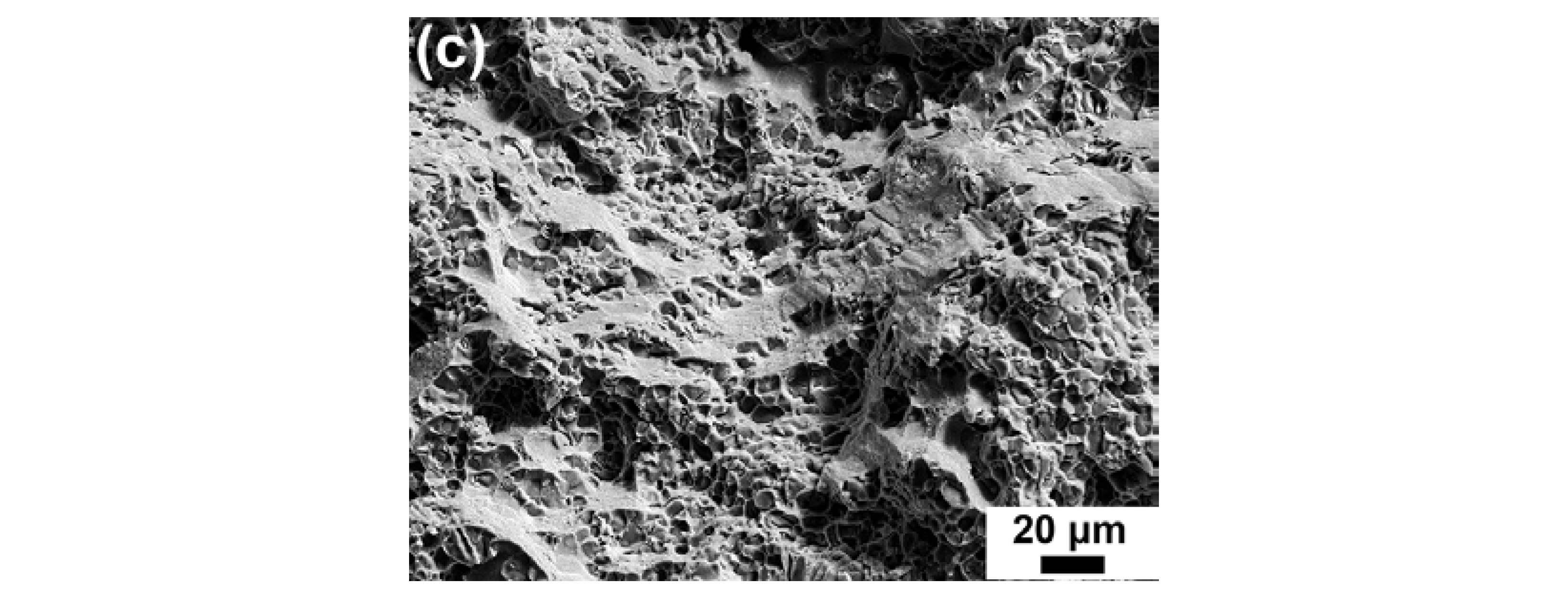 Materials 17 03607 g008b