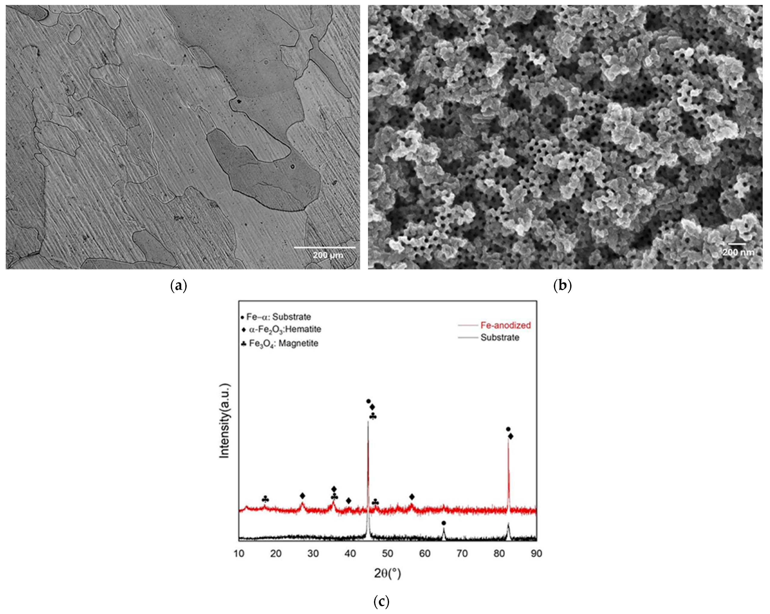 Materials 17 03627 g002