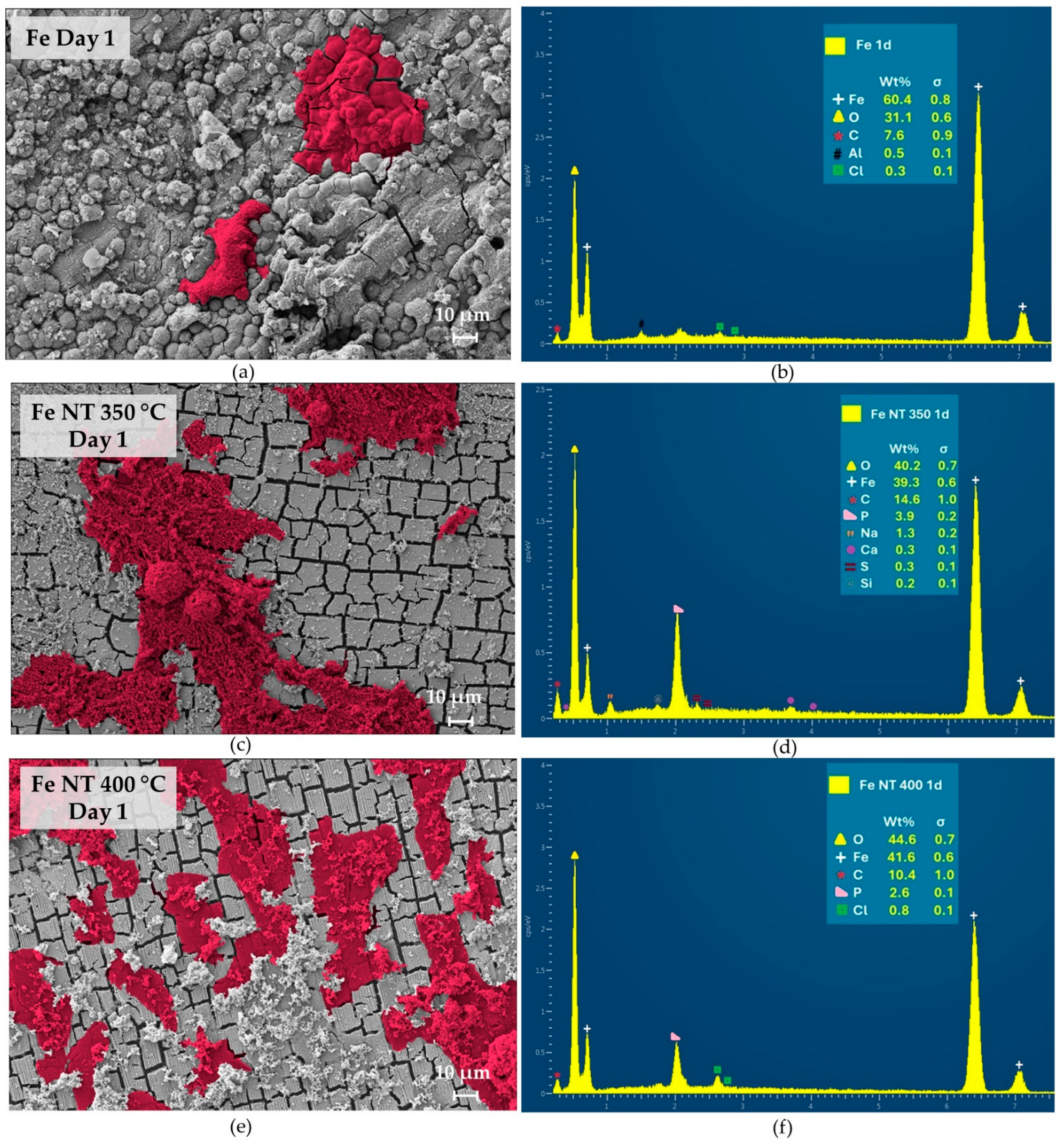 Materials 17 03627 g006