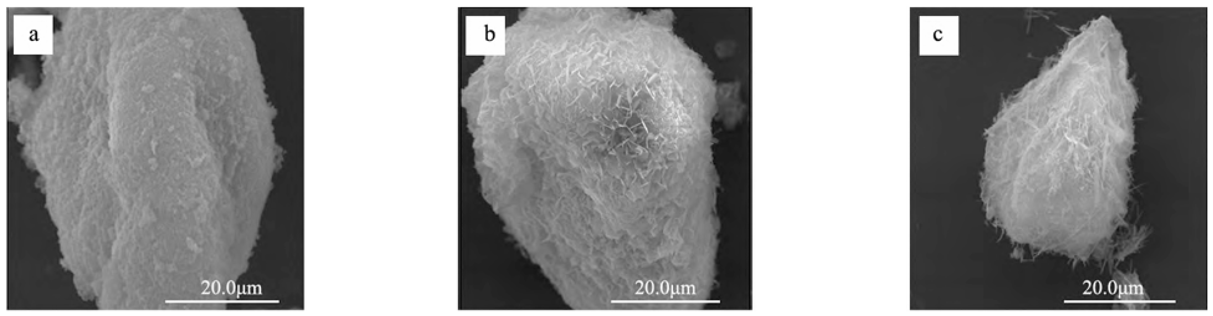 Materials 17 03640 g005