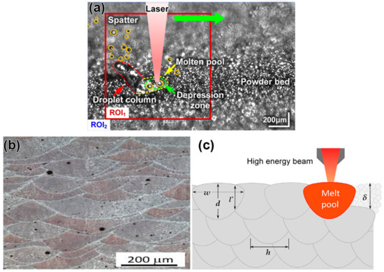 ℳ Development and Molecular Cytogenetic Characterization of
