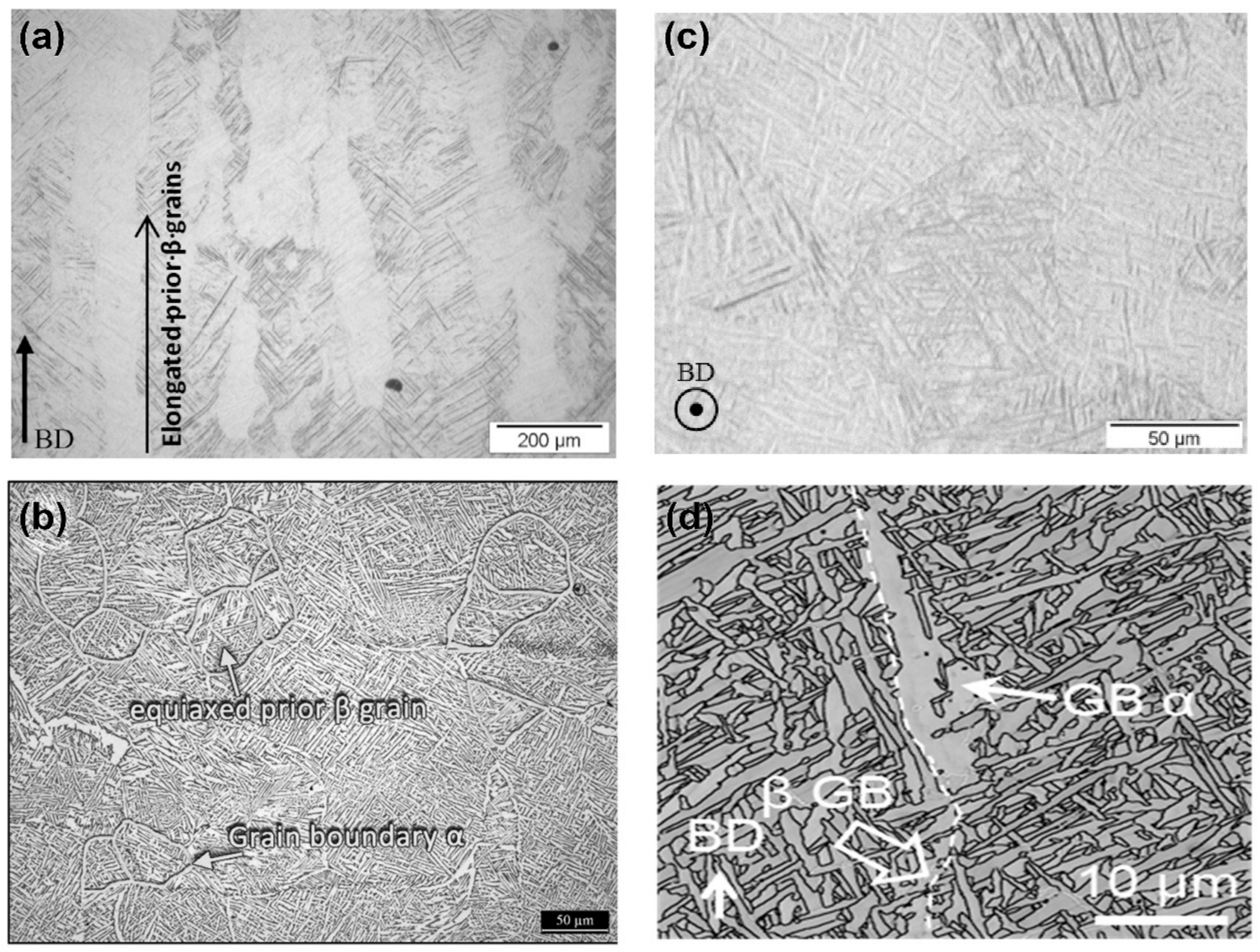Materials 17 03653 g010