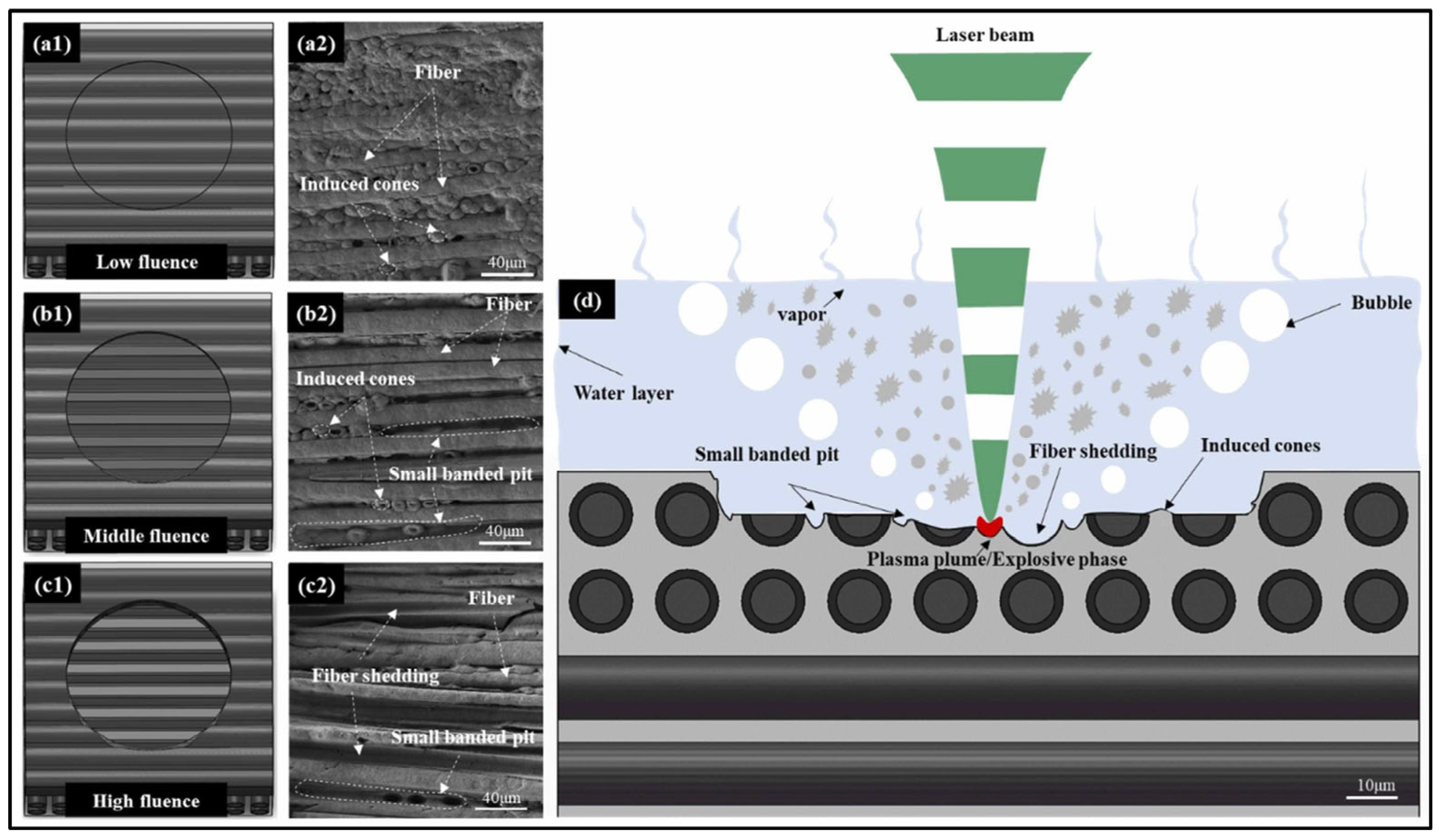 Materials 17 03657 g017
