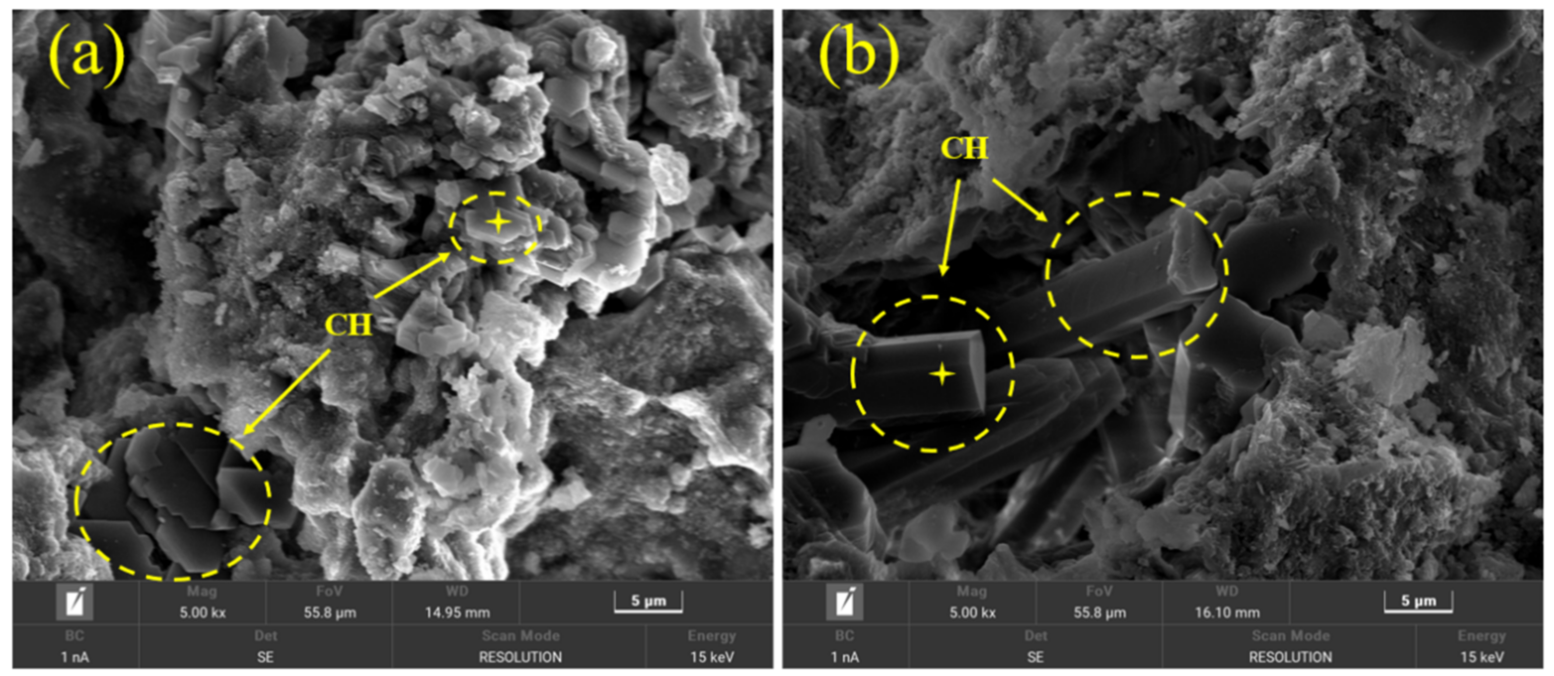 Materials 17 03658 g009