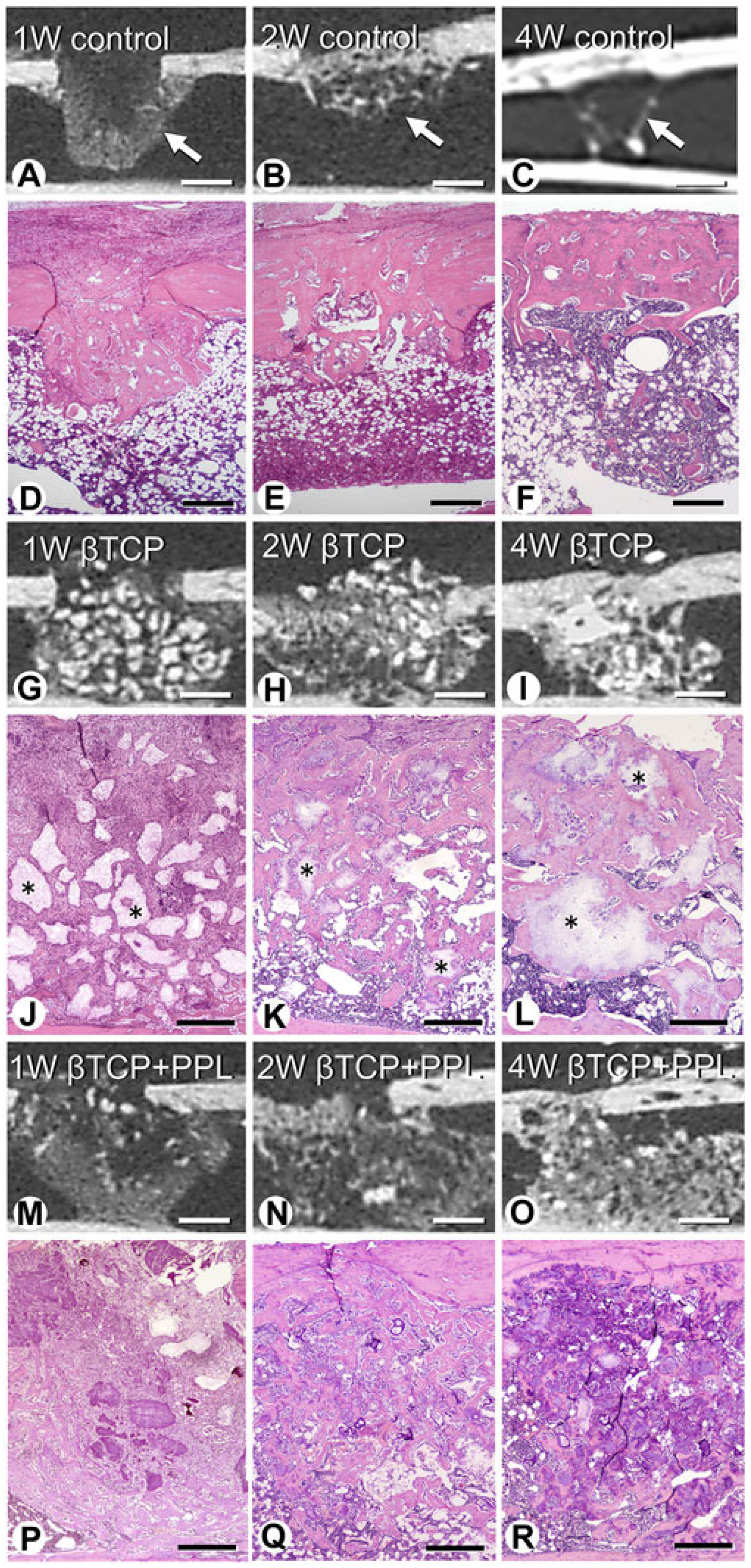 Materials 17 03671 g003