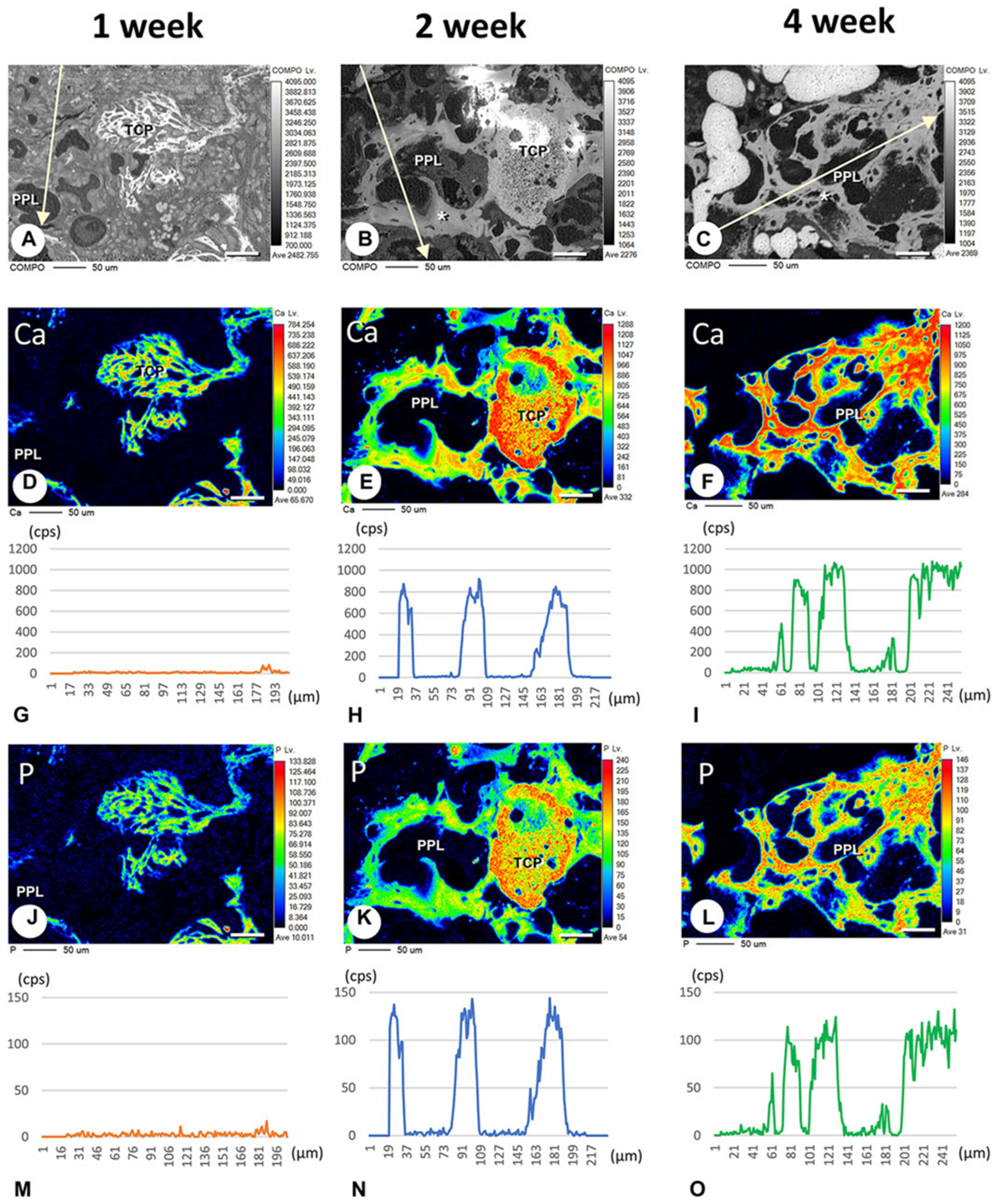 Materials 17 03671 g006