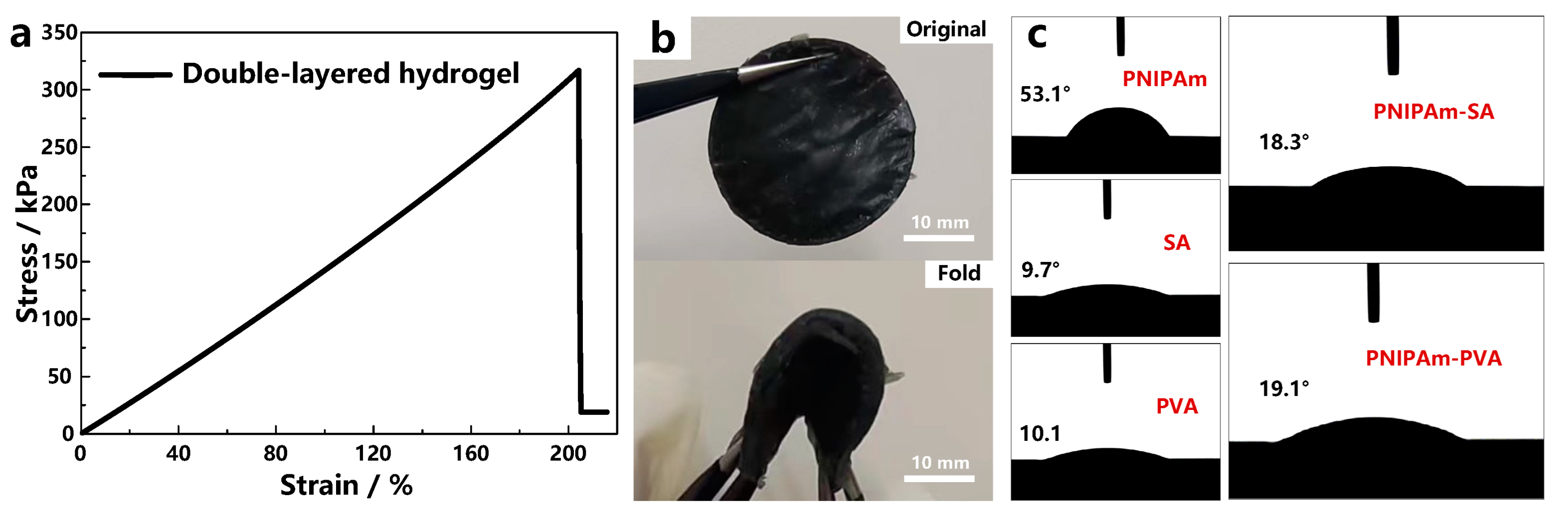 Materials 17 03679 g001